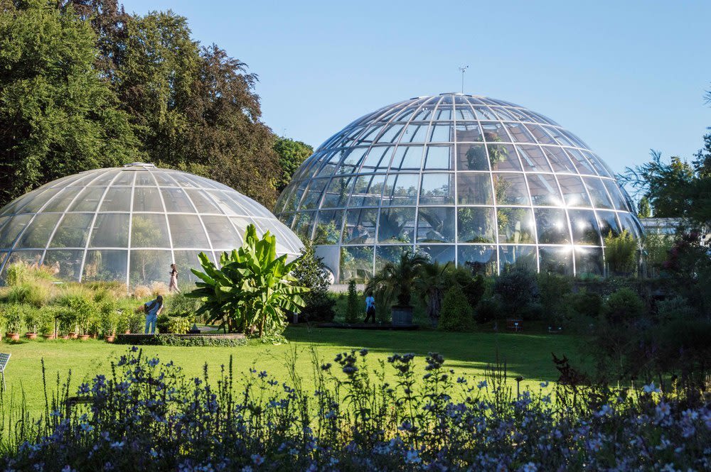 Botanischer Garten Universität Zürich