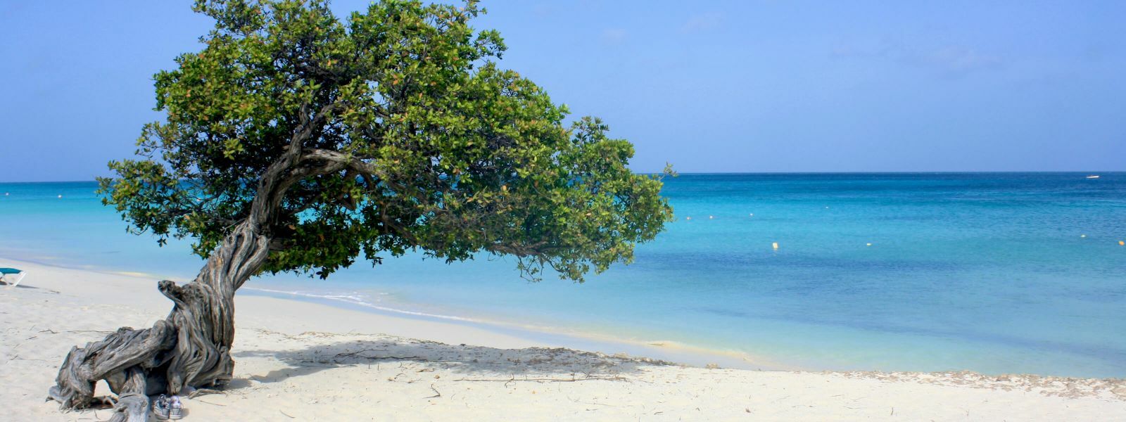 Aruba: o guia com as melhores dicas da ilha caribenha!