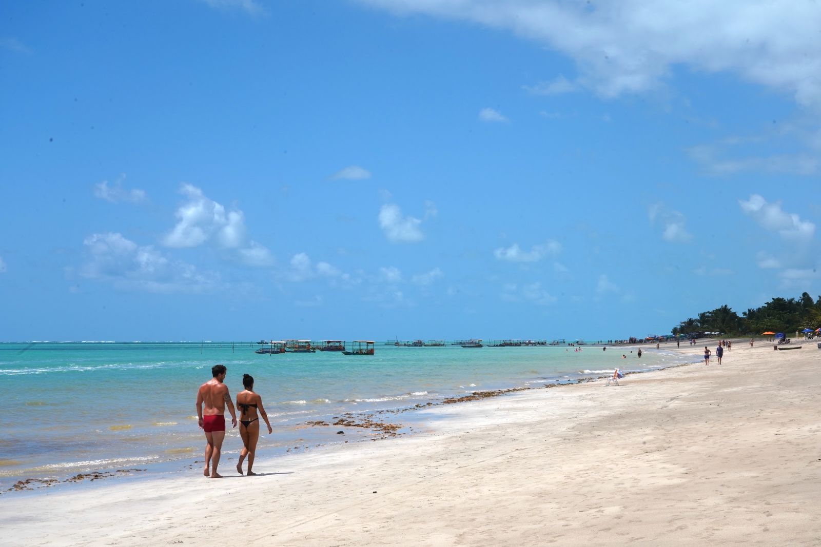 Praia de Antunes - dicas para curtir as belezas de Maragogi!