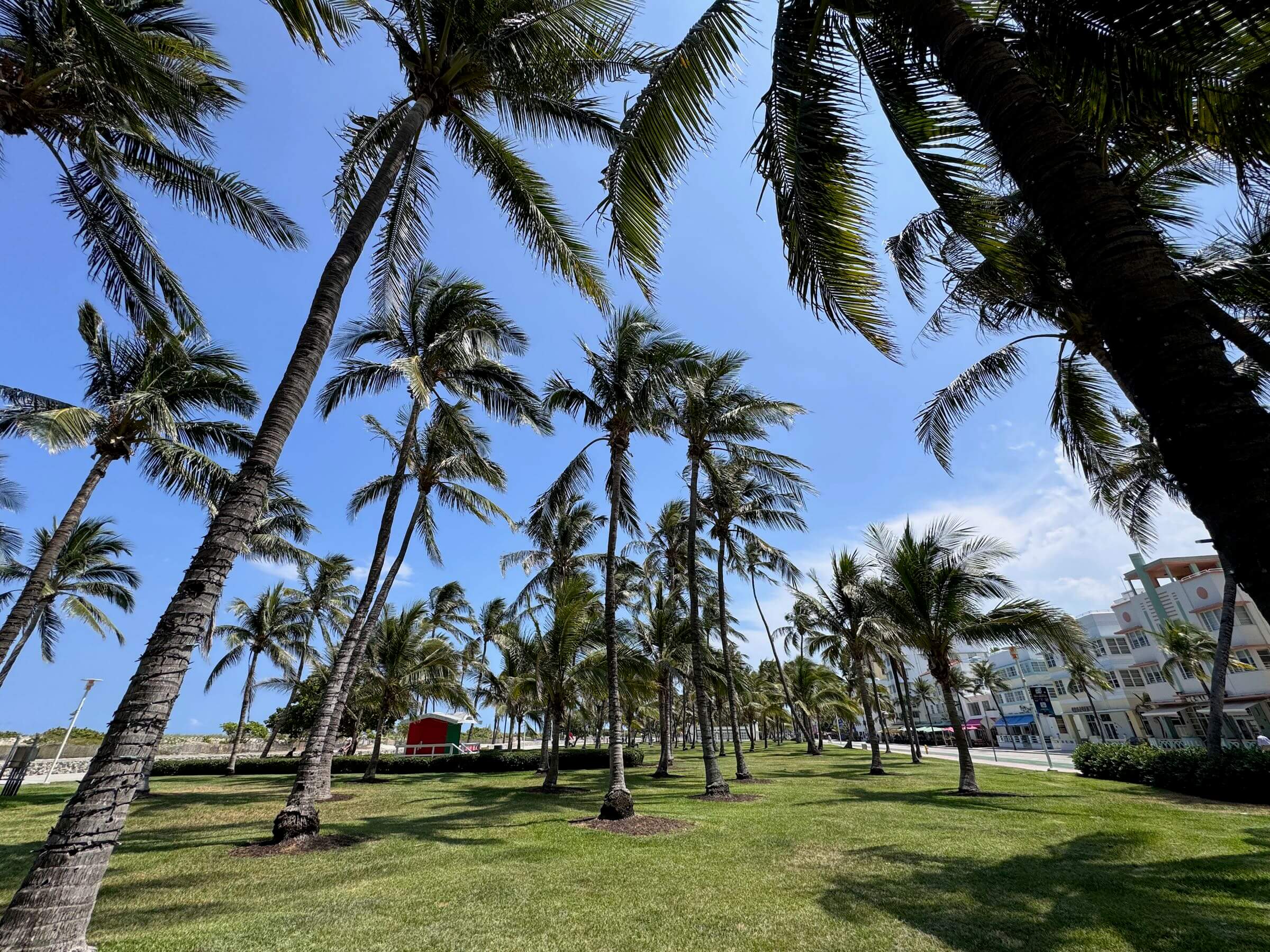 QUANDO IR A MIAMI visual data 7