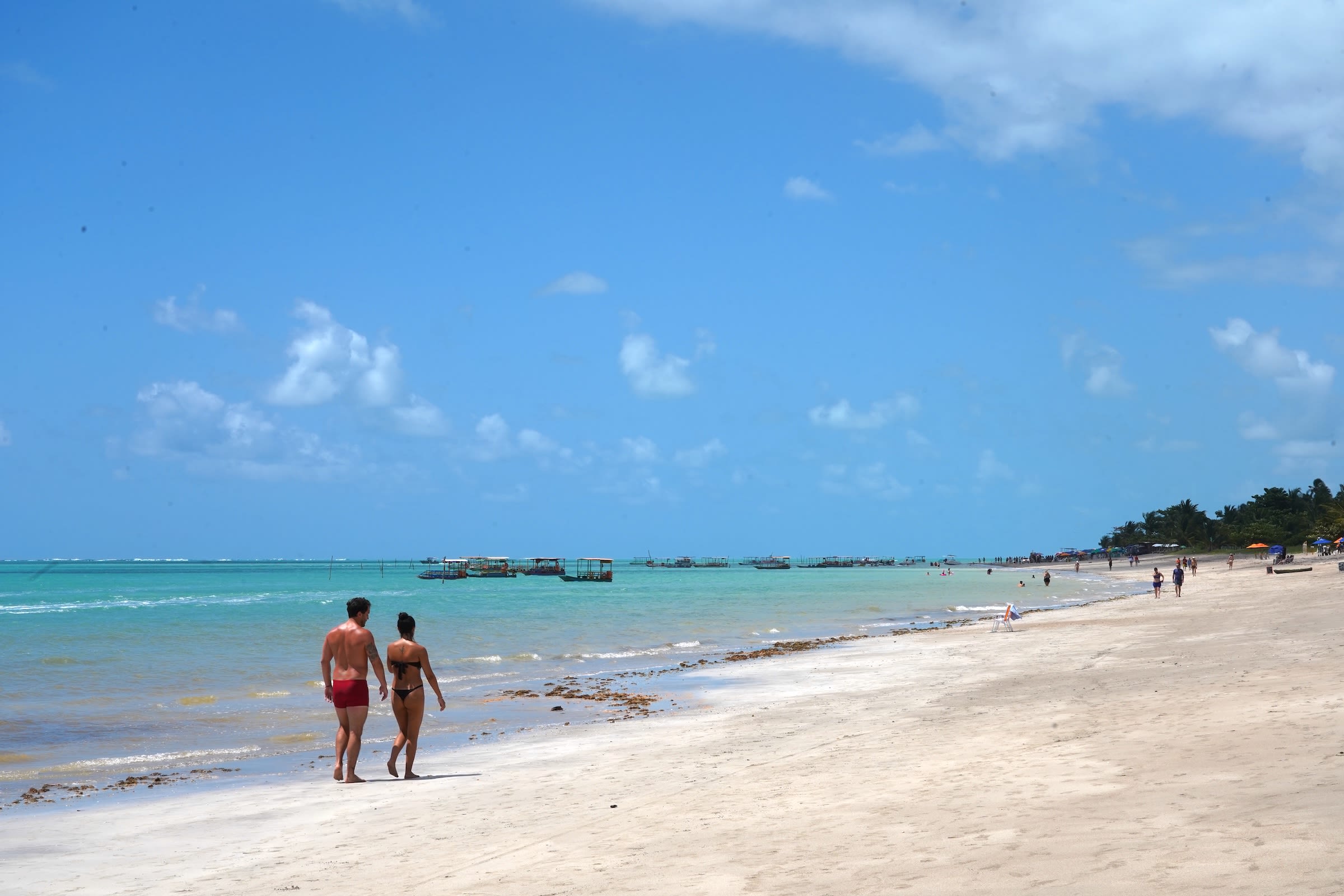 Praia de Antunes - dicas para curtir as belezas de Maragogi!