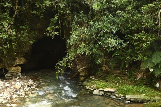 Waitomo E As Glowworm Caves - Nova Zelândia