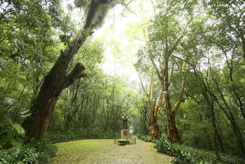 Bosque Papa João Paulo II e