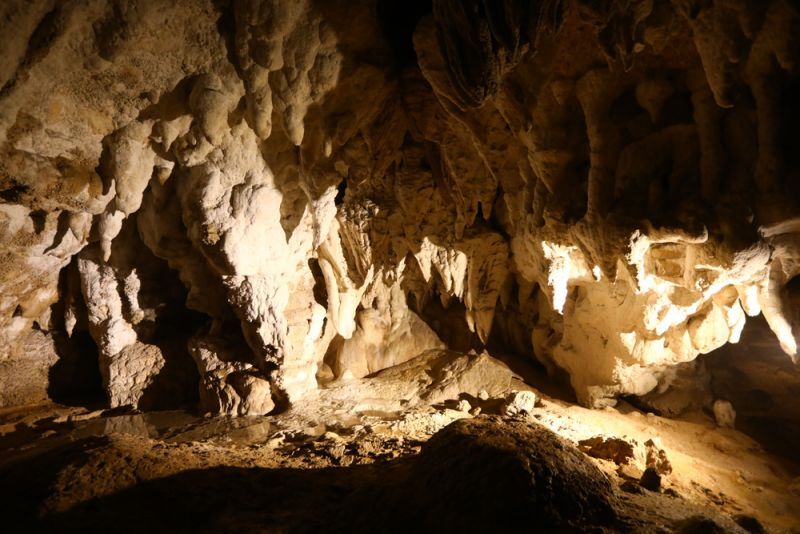 Waitomo E As Glowworm Caves - Nova Zelândia