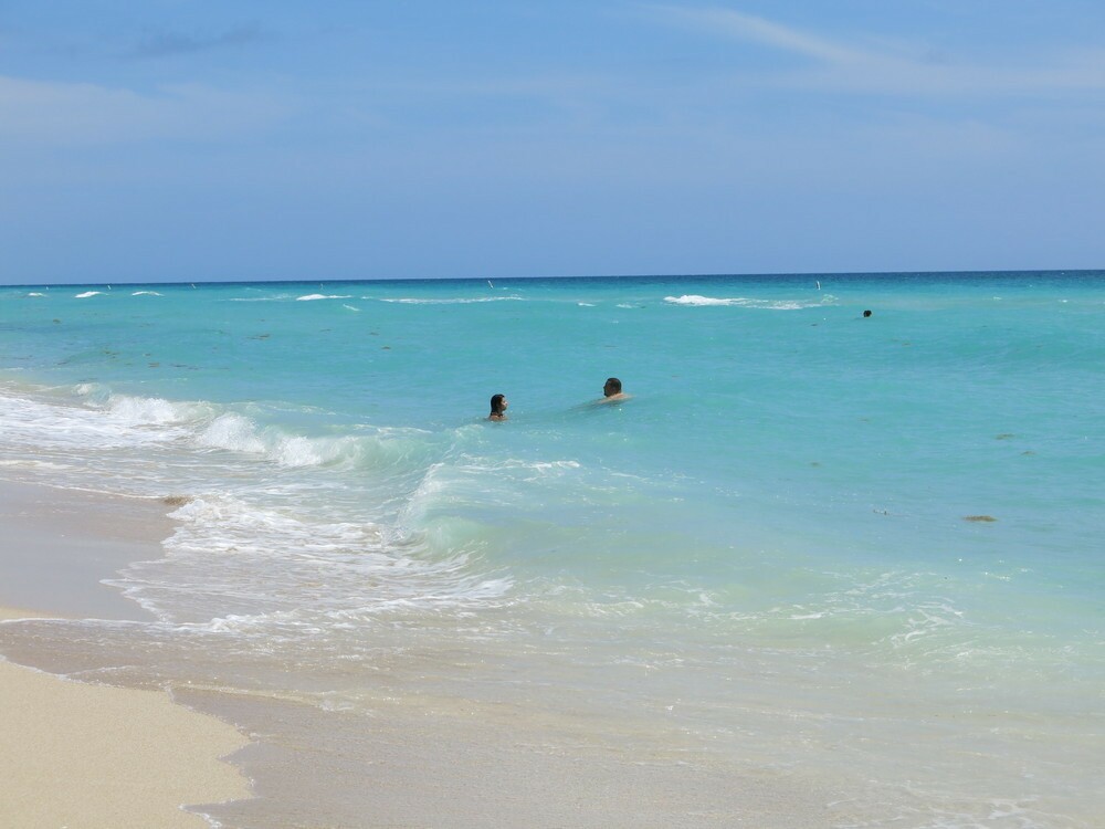 Coisas para fazer em North Beach