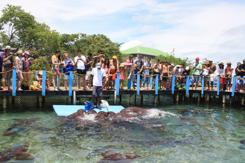 Oceanário Cartagena