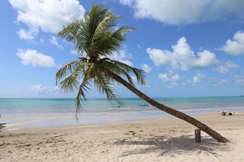 Praia-de-barra-grande-maragogi