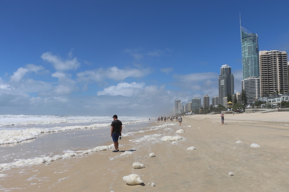 Surfers Paradise, Queensland - Wikipedia