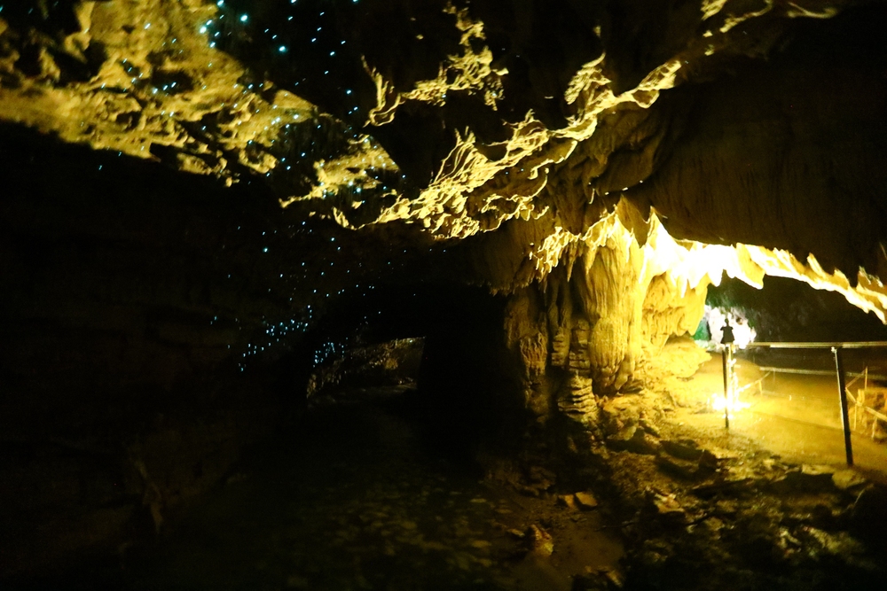 Waitomo-e-as-cavernas-de-waitomo