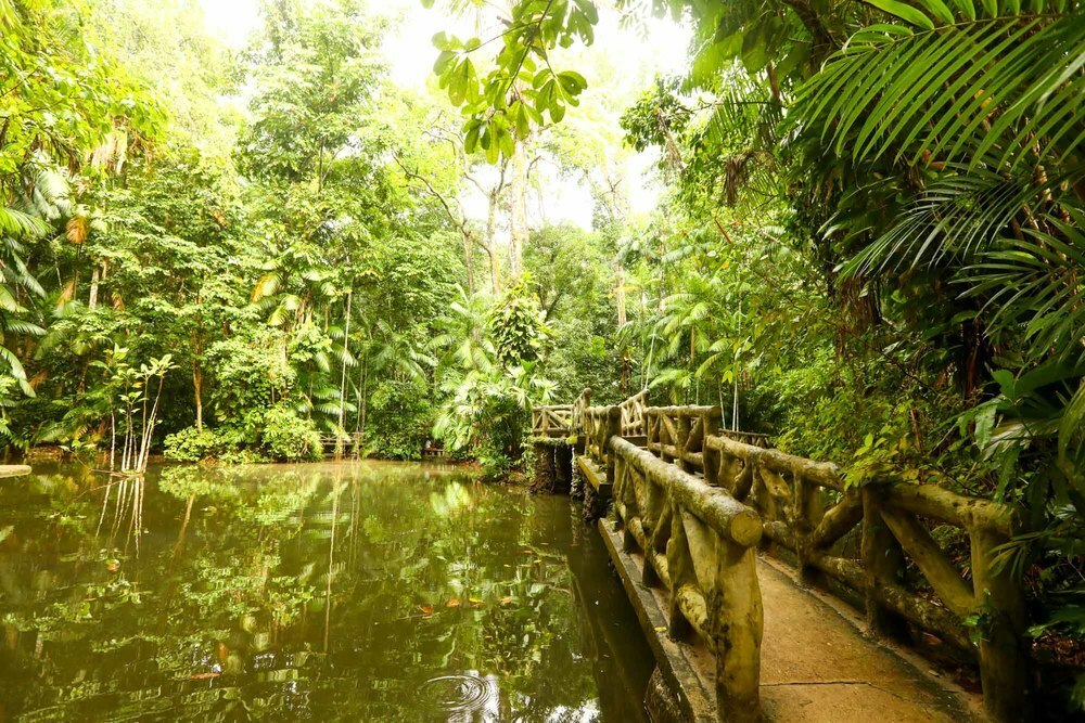 Bosque Rodrigues Alves Jardim Zoobot nico
