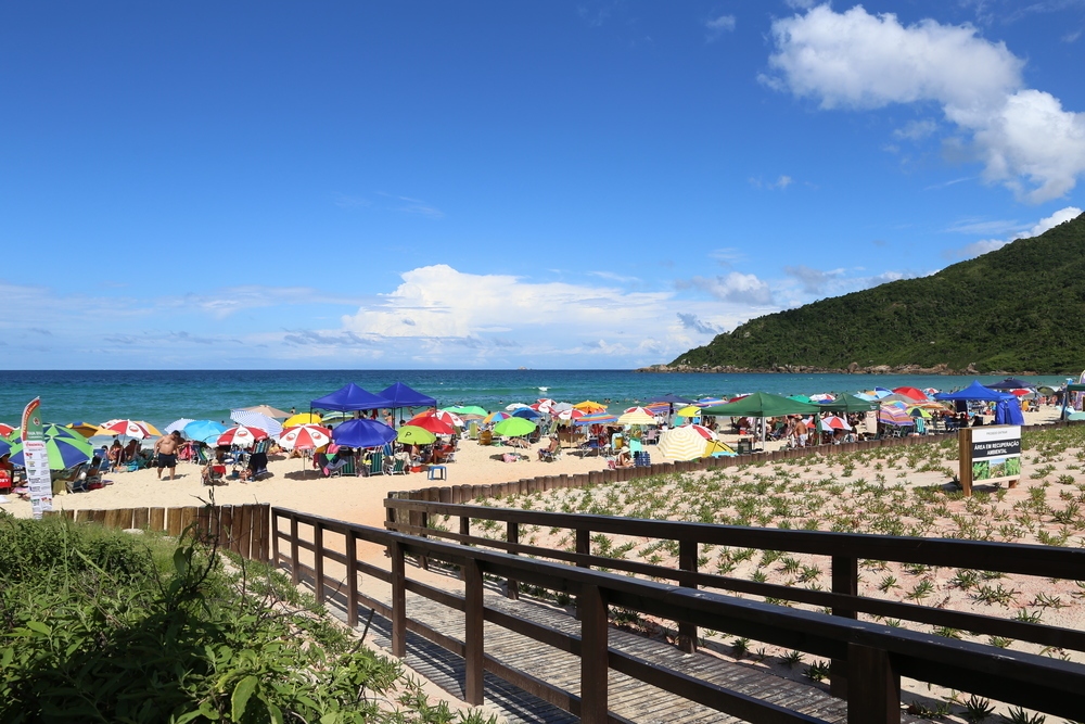 Guia Turístico da Praia Brava Florianópolis  