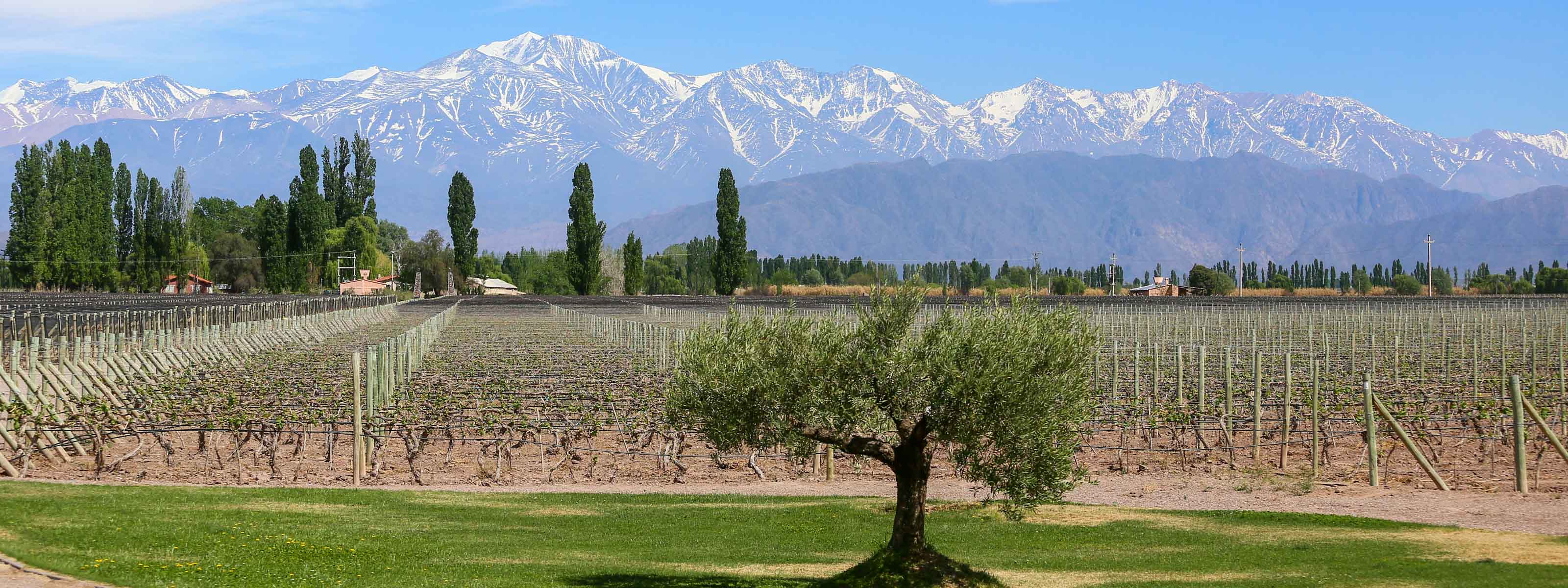 Excursão turística de meio dia à cidade de Mendoza, Mendoza