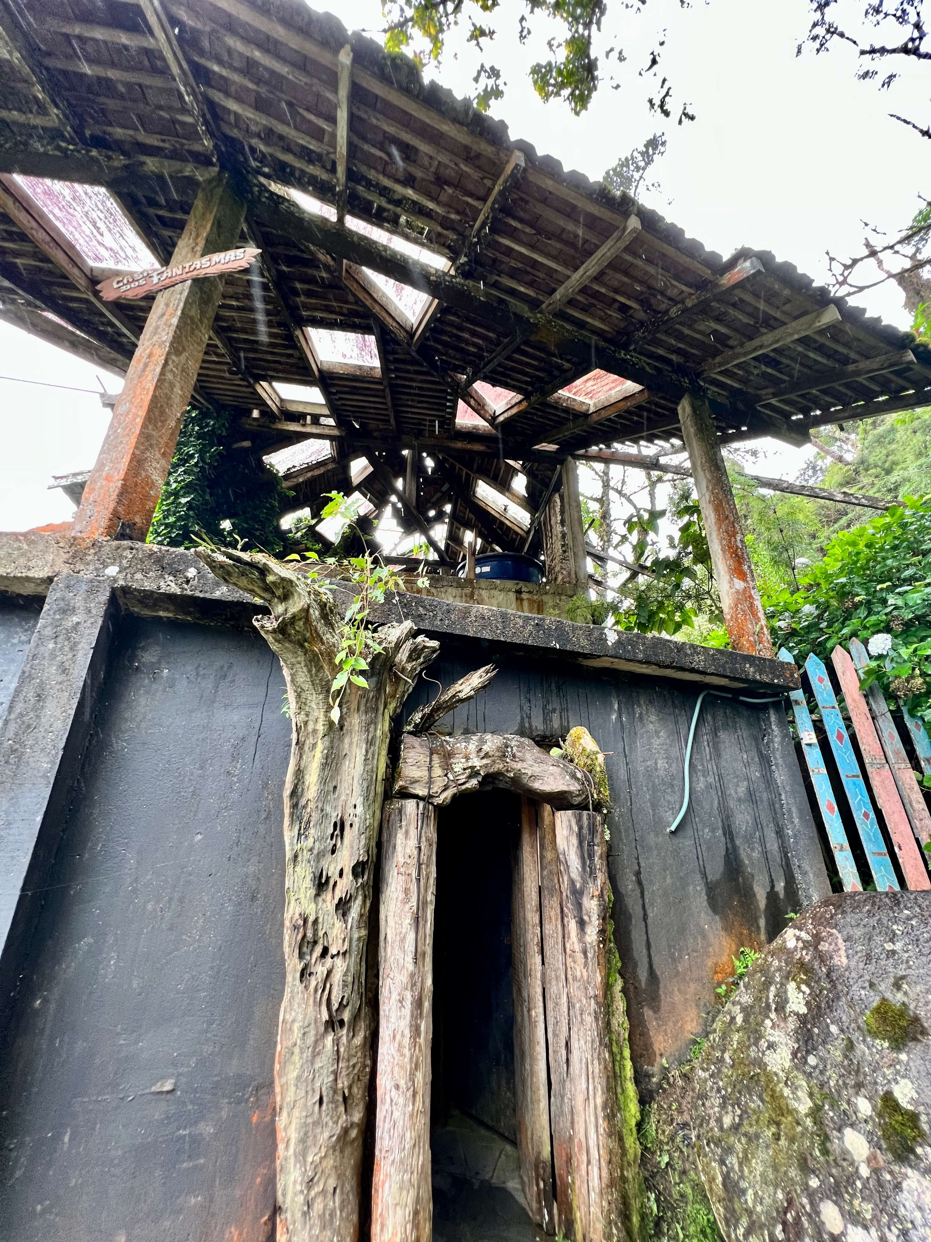 De qual casa vc é ? floresta encantada