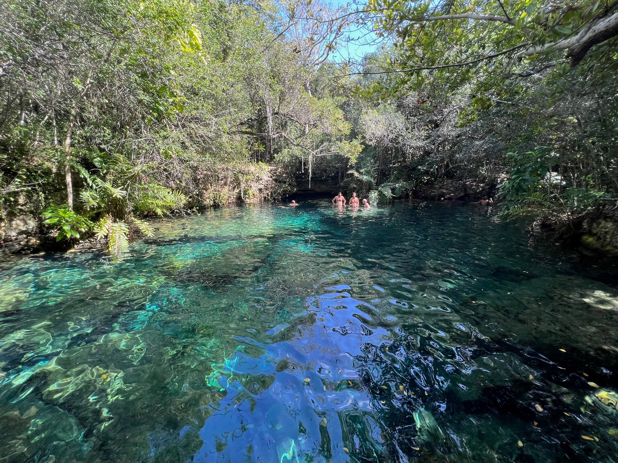 Cenotes Ojos Indígenas