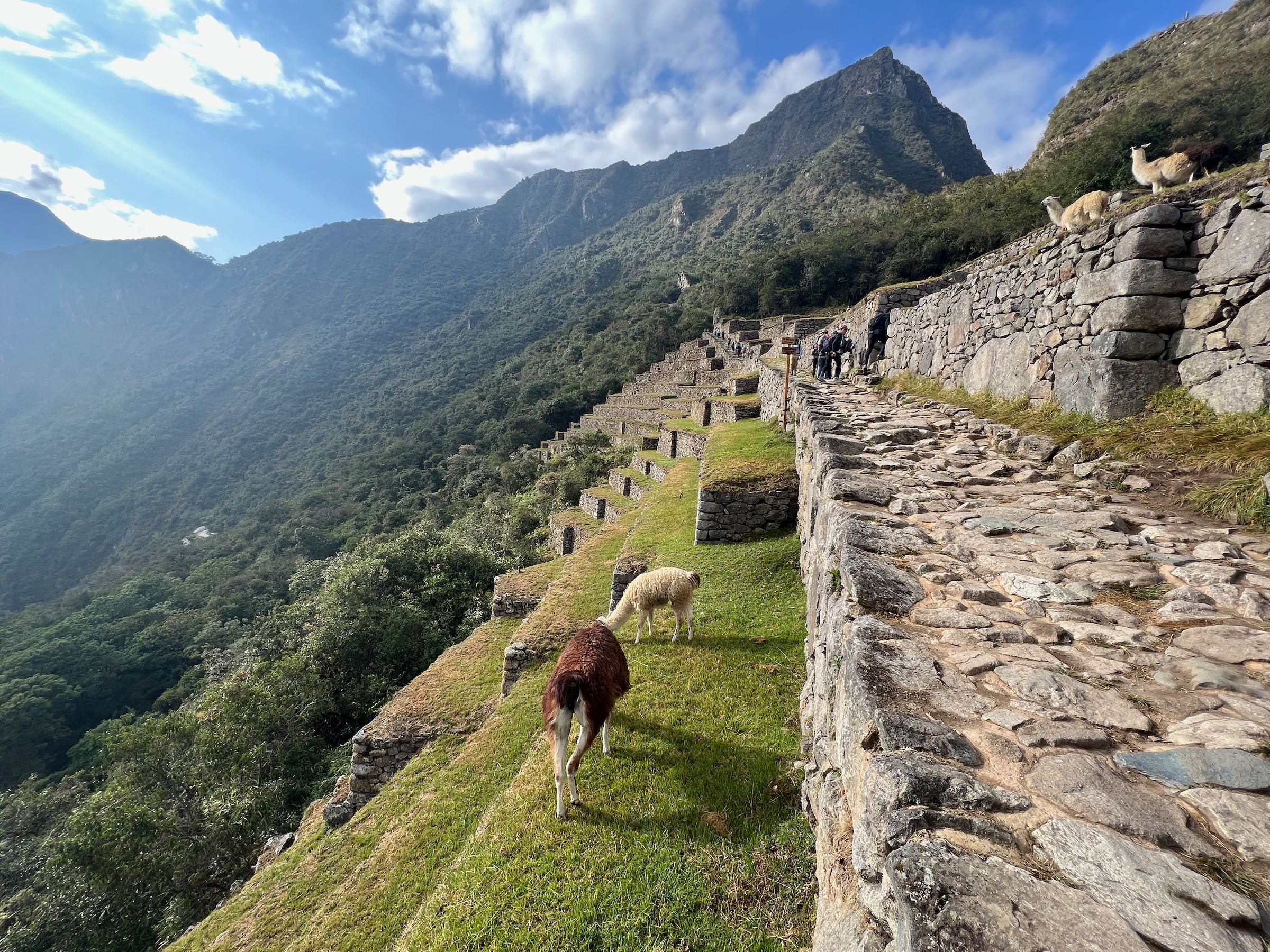 Como Chegar a Machu Picchu