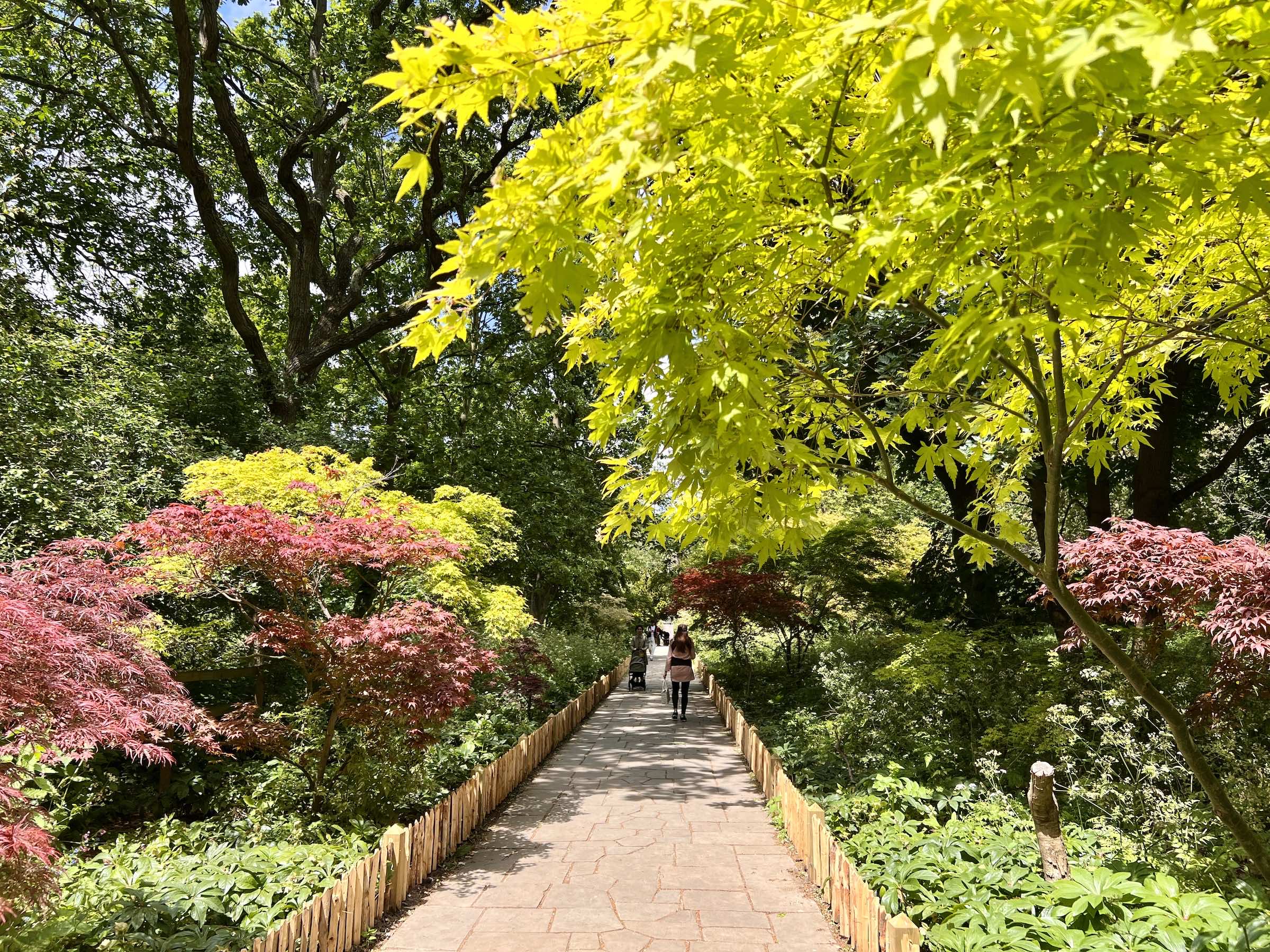 Holland Park e Jardim de Kyoto