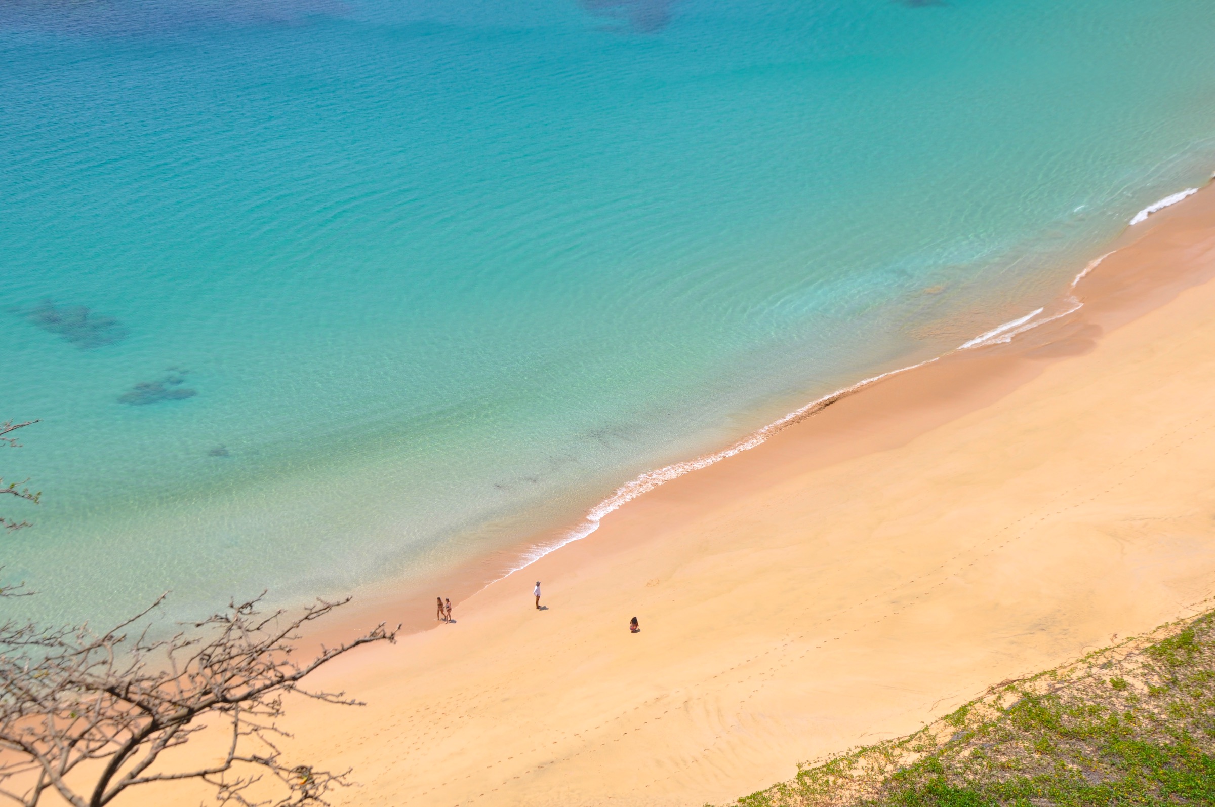 O que fazer em Fernando de Noronha