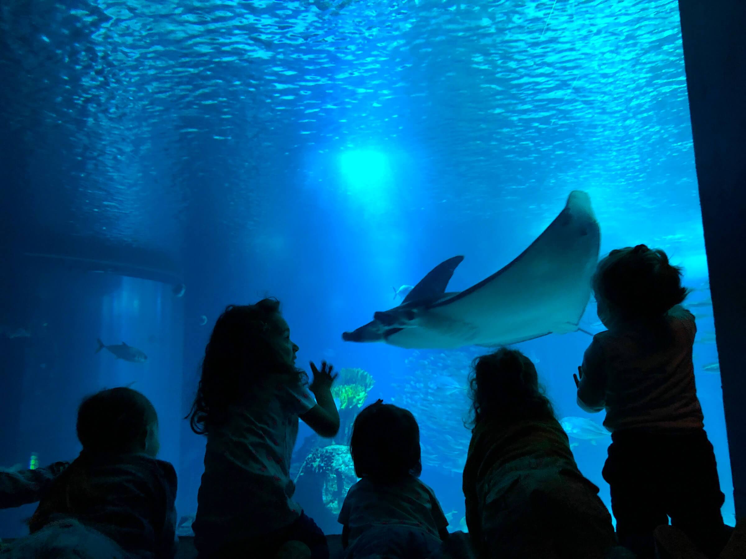 Oceanário de Lisboa