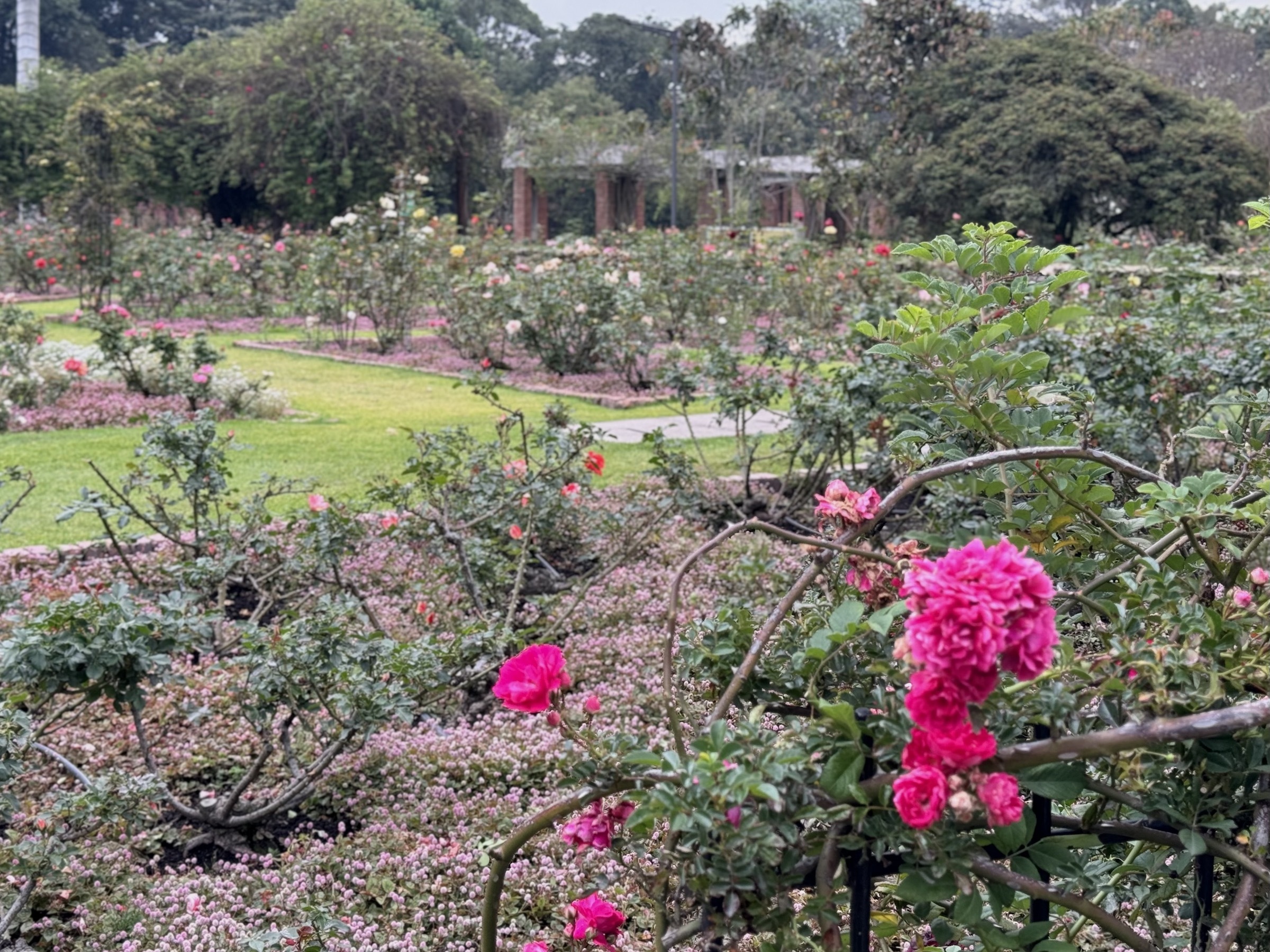 Jardim Botânico de Bogotá