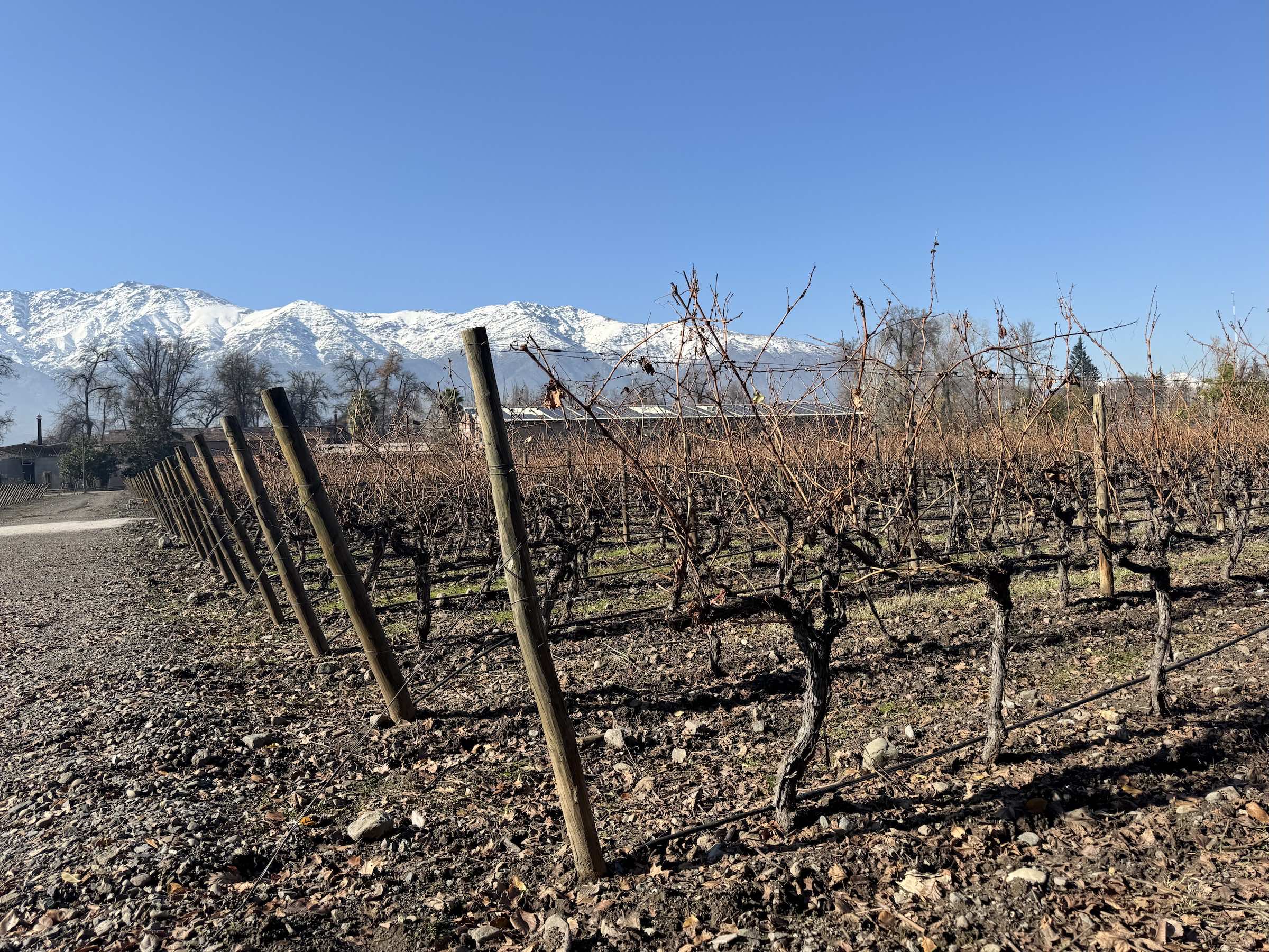 Vinícolas perto de Santiago