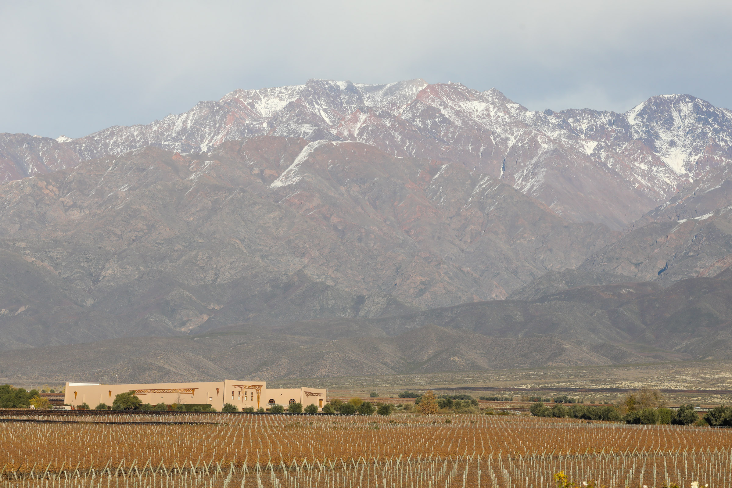 Vinícolas em Mendoza