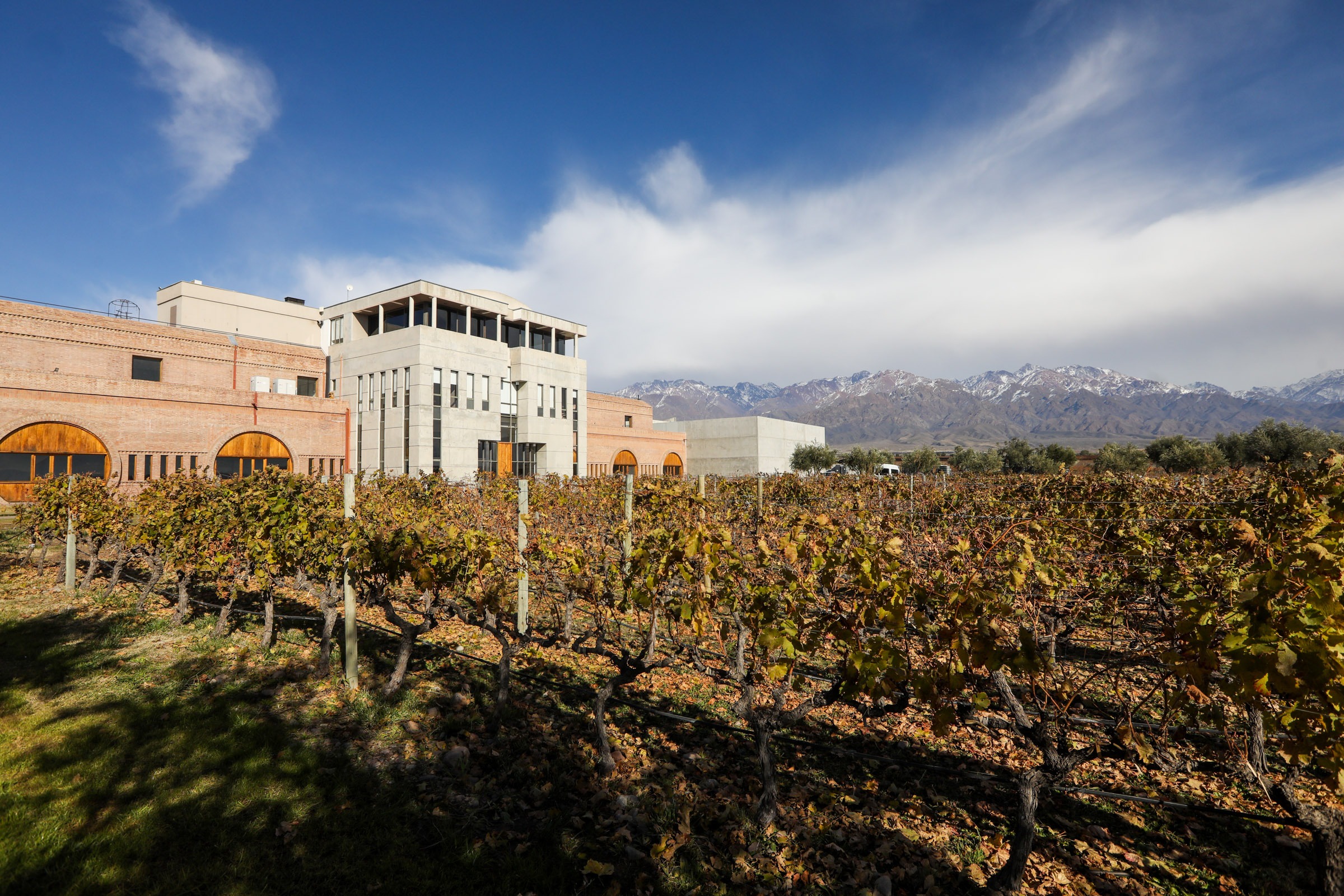 Vinícolas em Mendoza