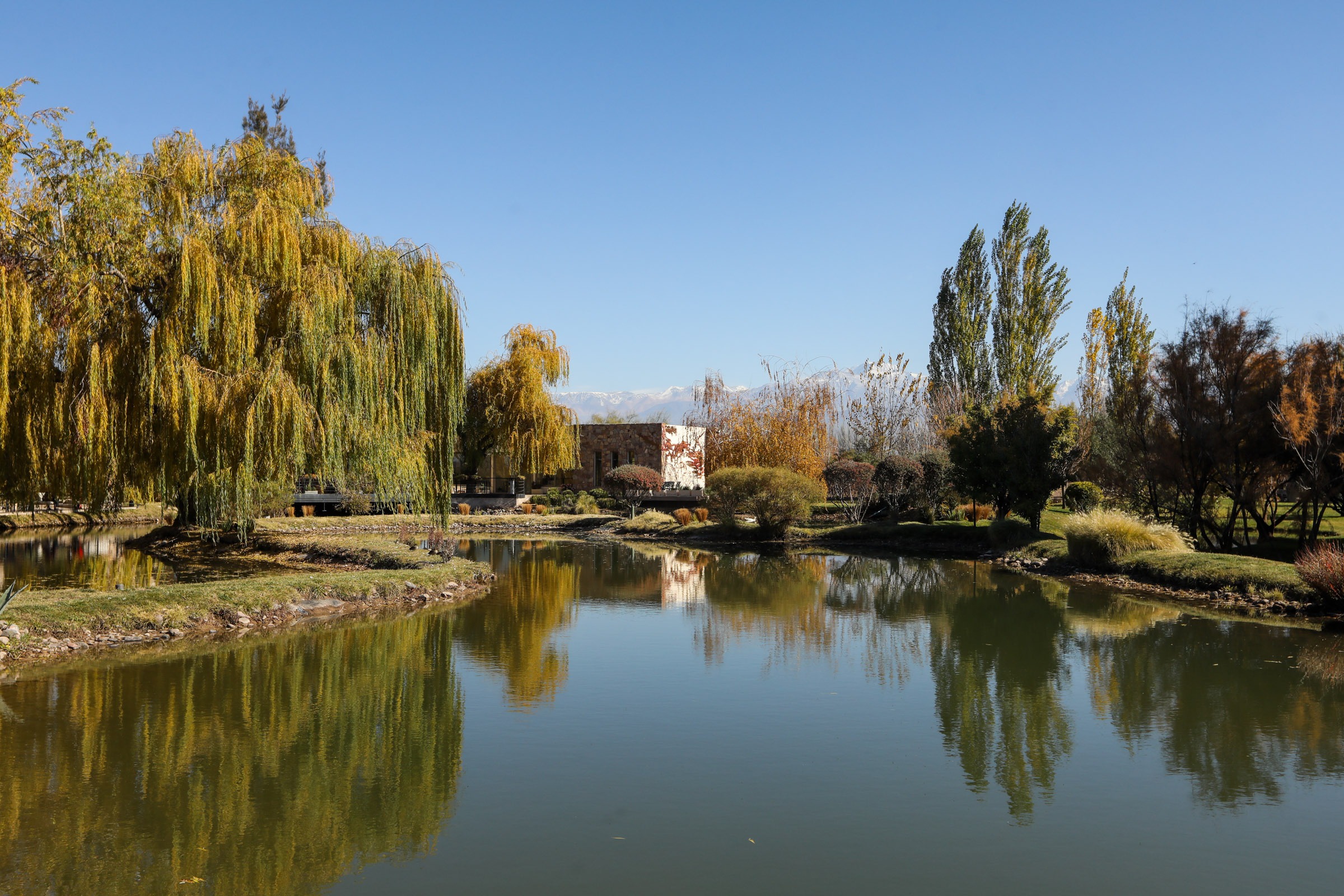 Vinícolas em Mendoza