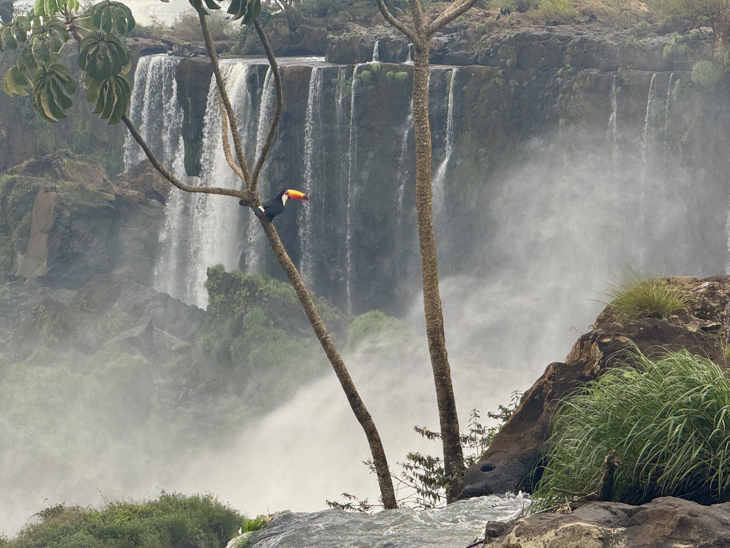 Cataratas Argentinas