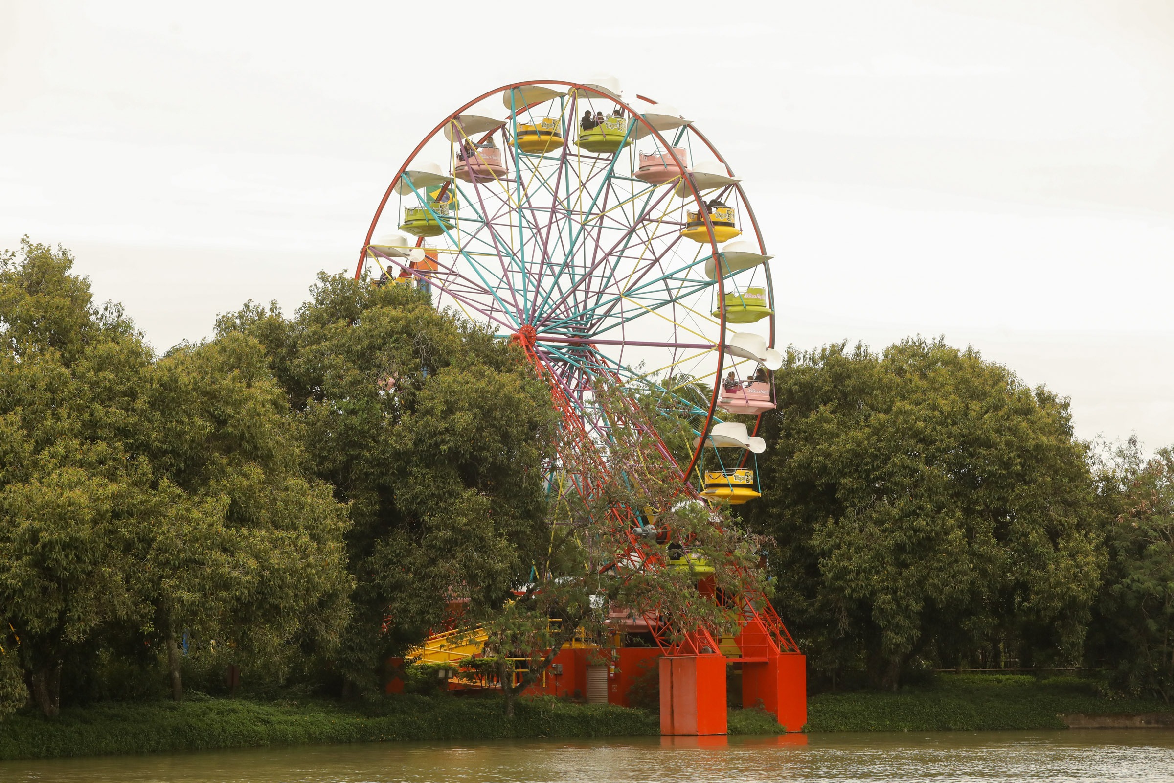 Roda Gigante