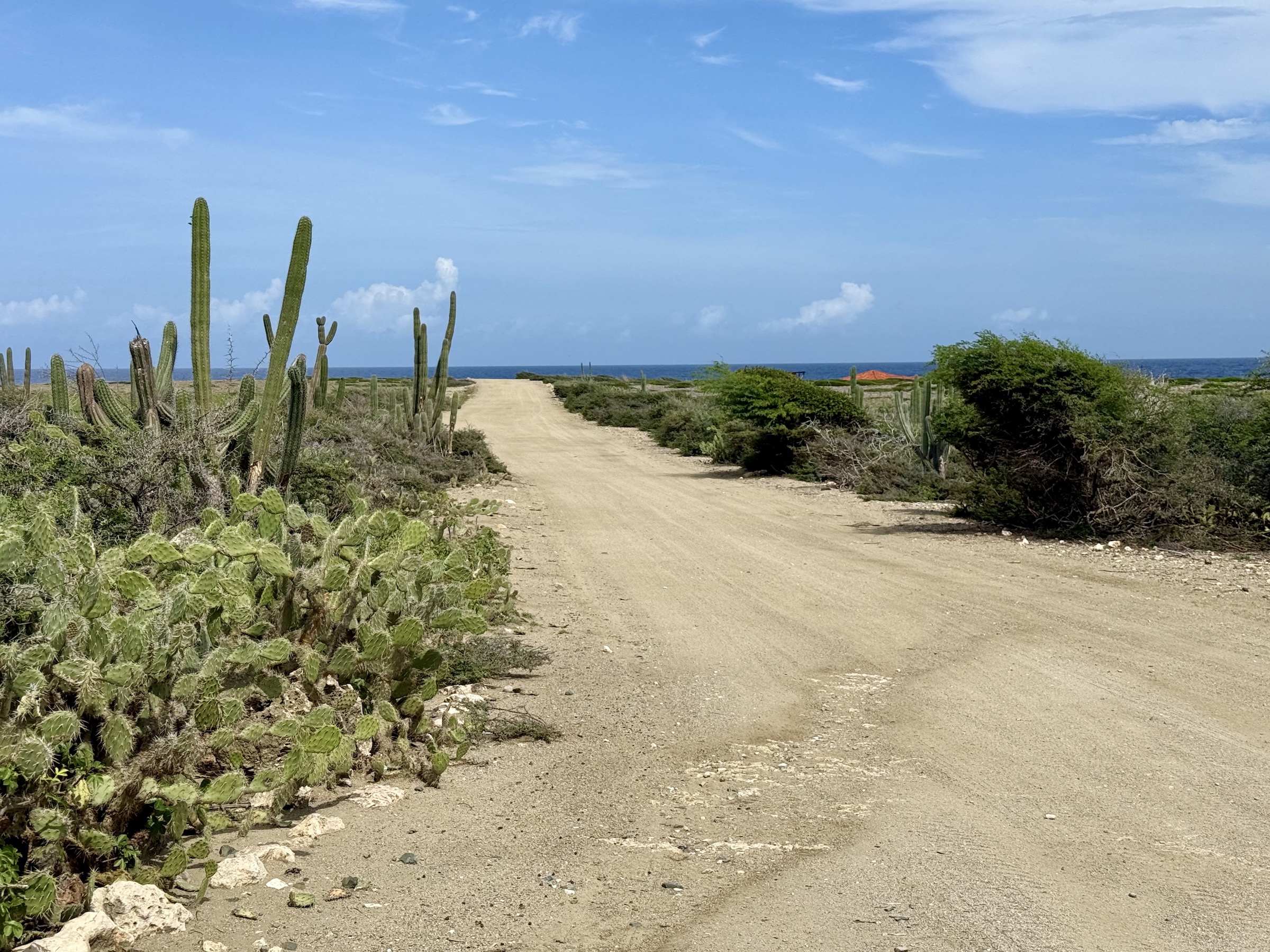 Parque Nacional Arikok