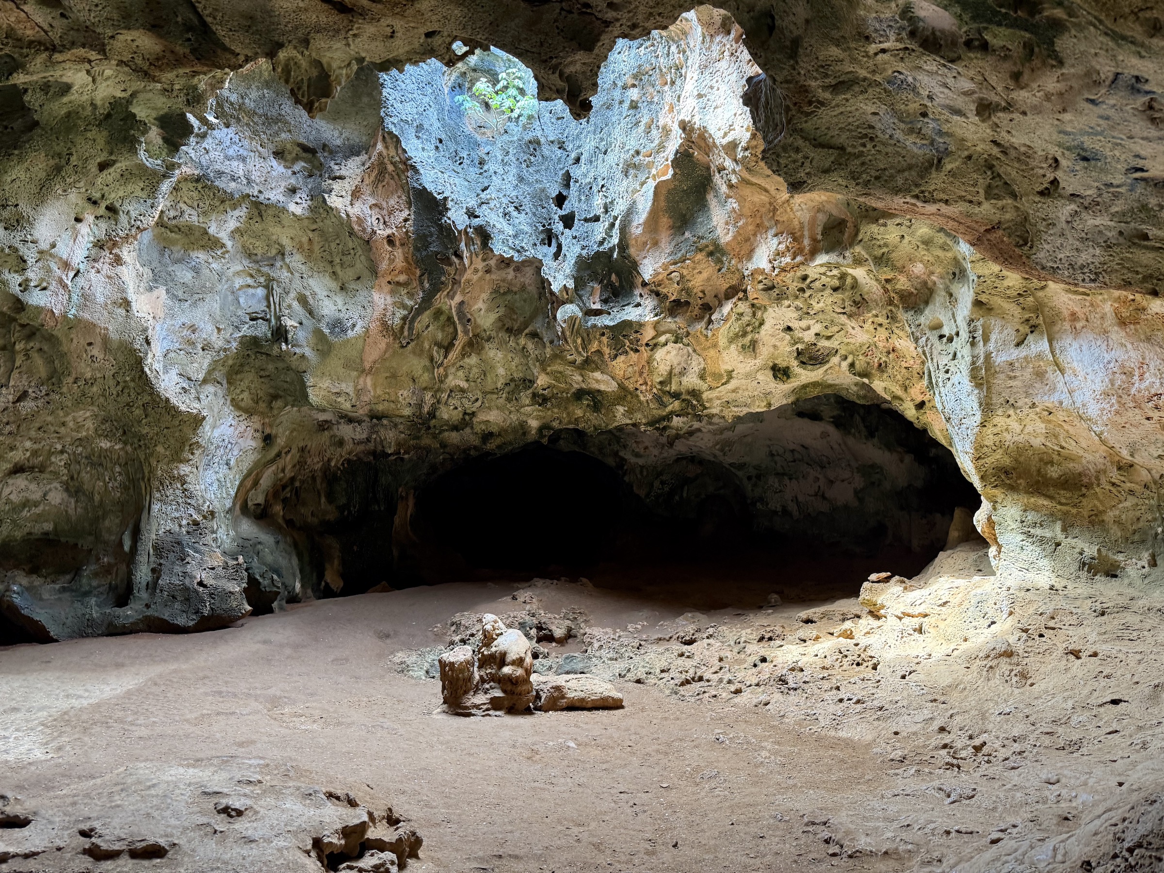 Parque Nacional Arikok