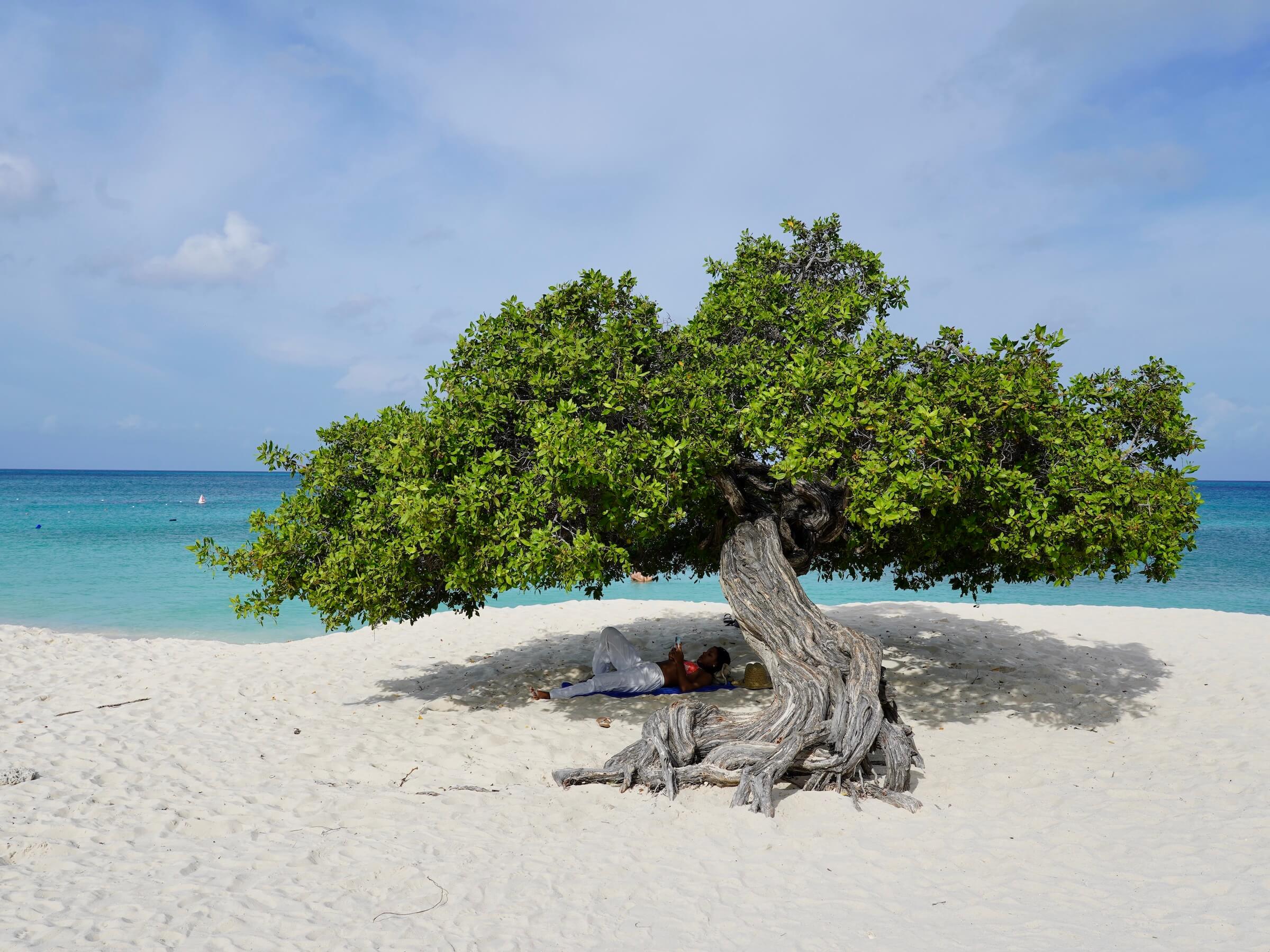 Onde Ficar em Aruba