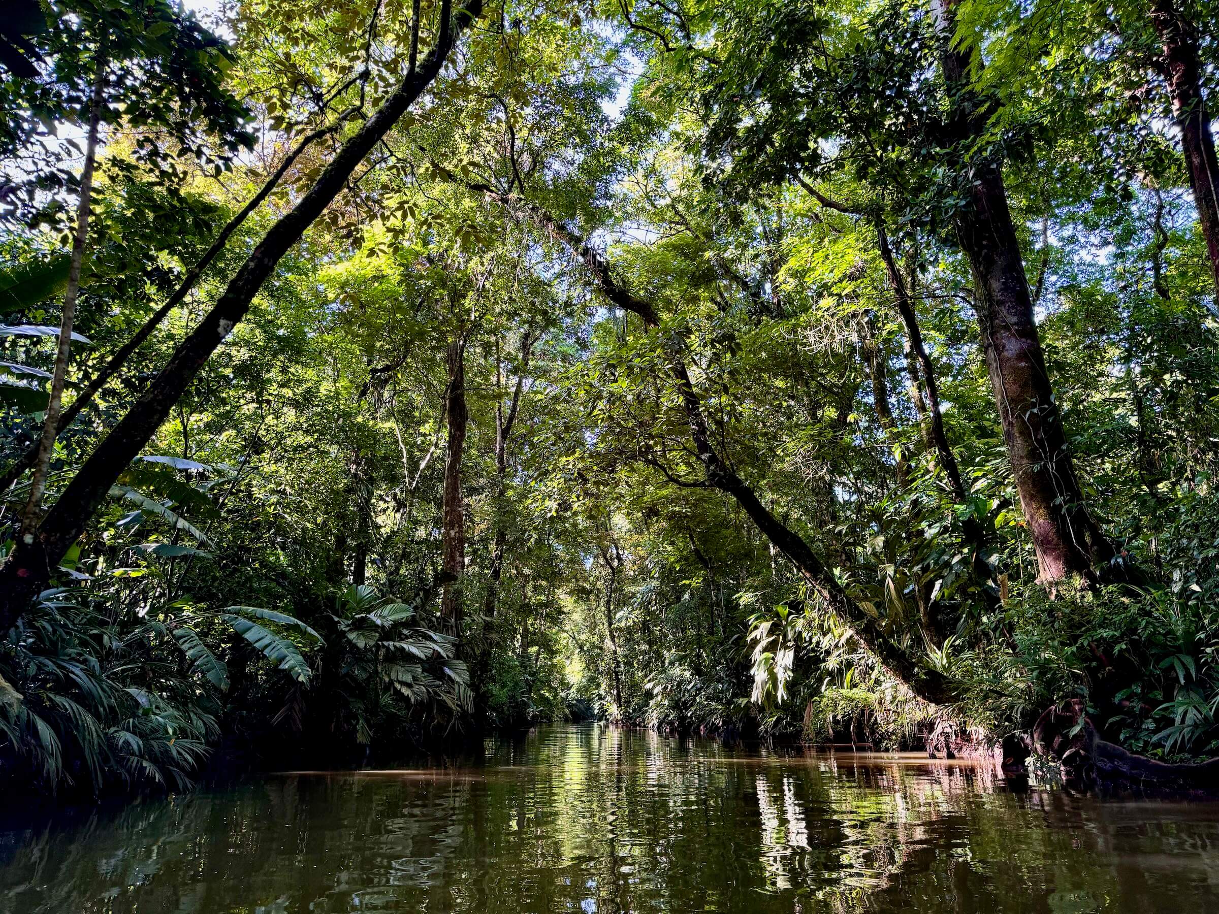 Quando ir a Costa Rica - melhor época para viajar