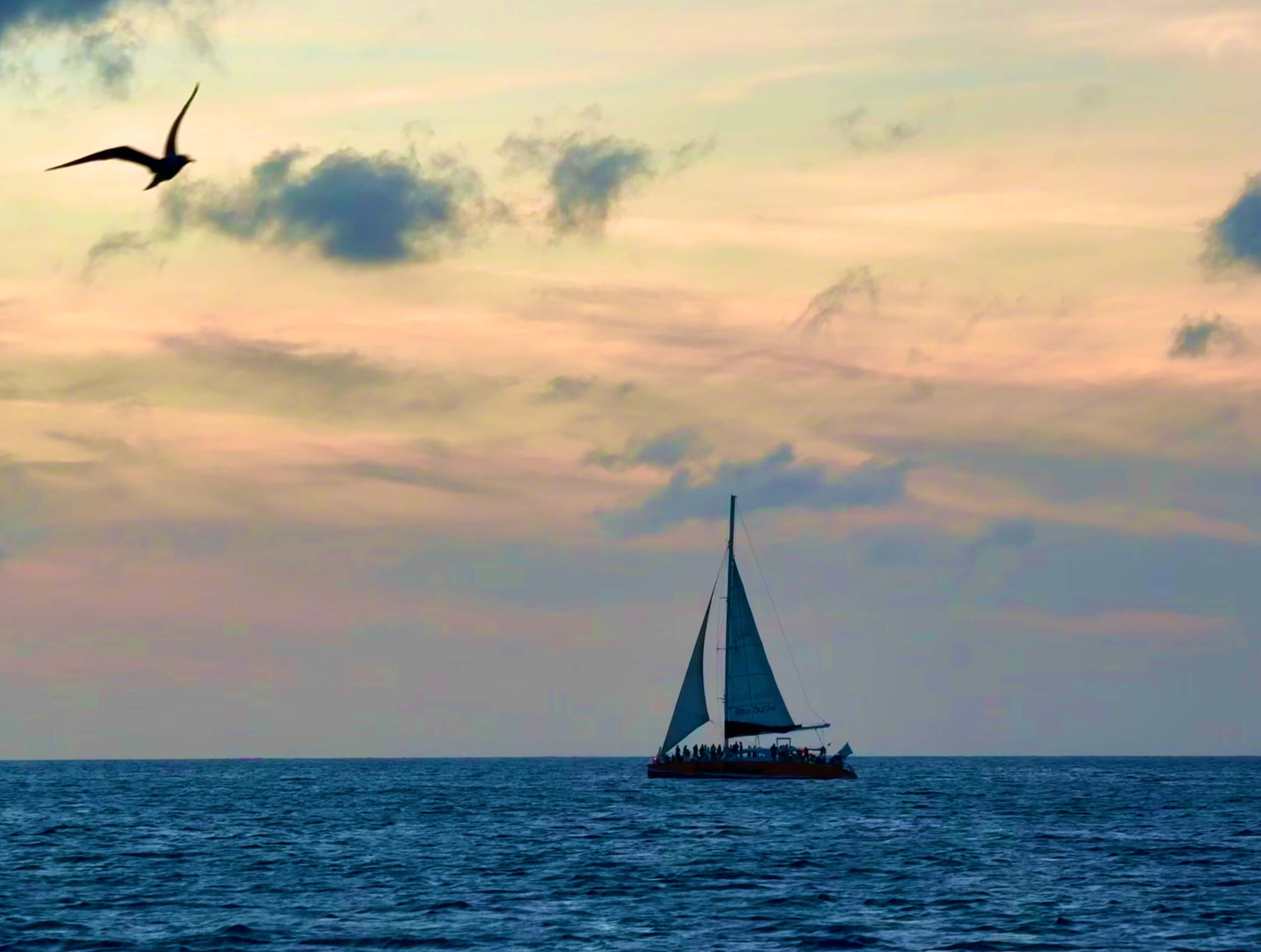 Passeios em Aruba