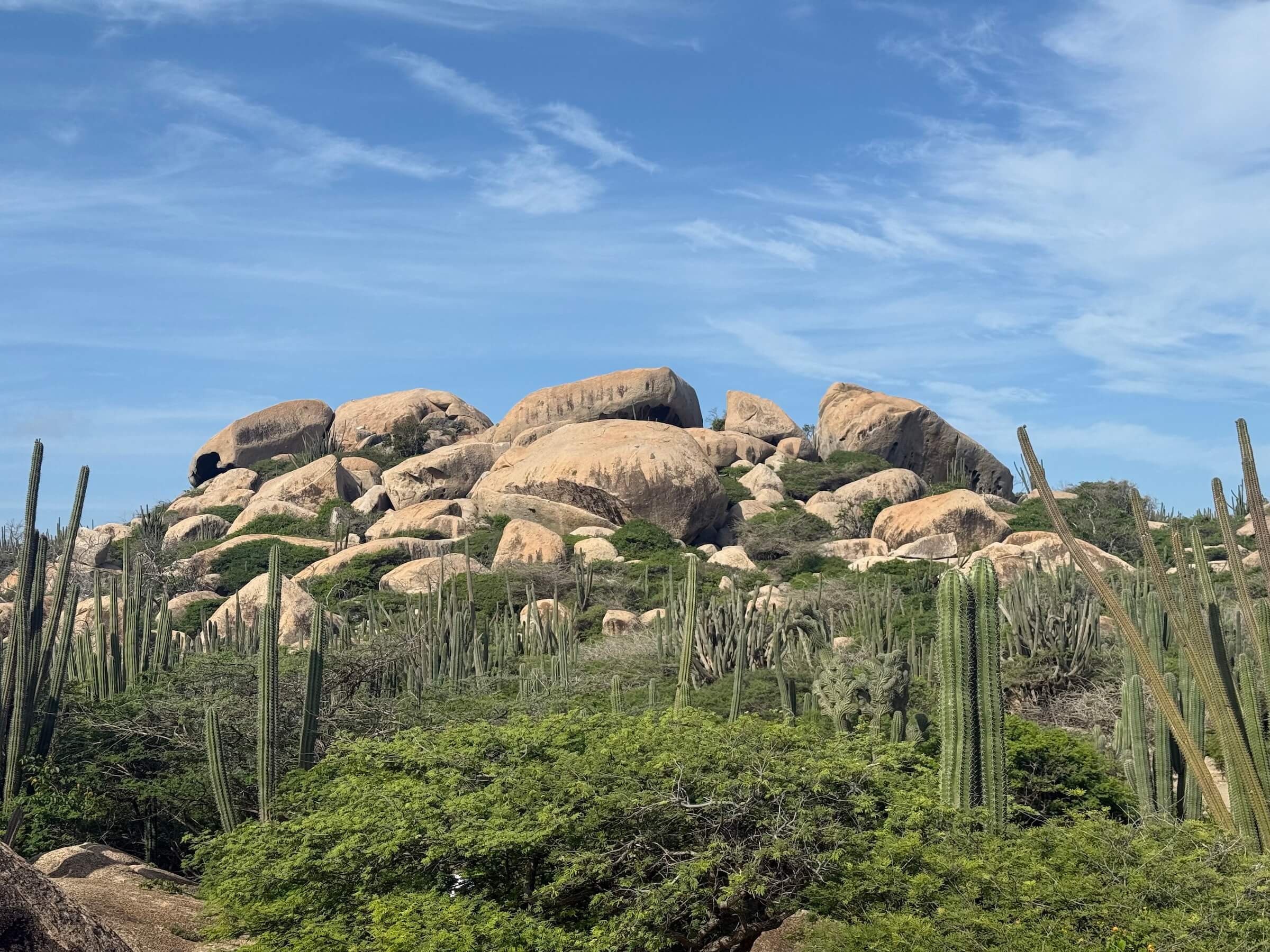 Passeios em Aruba