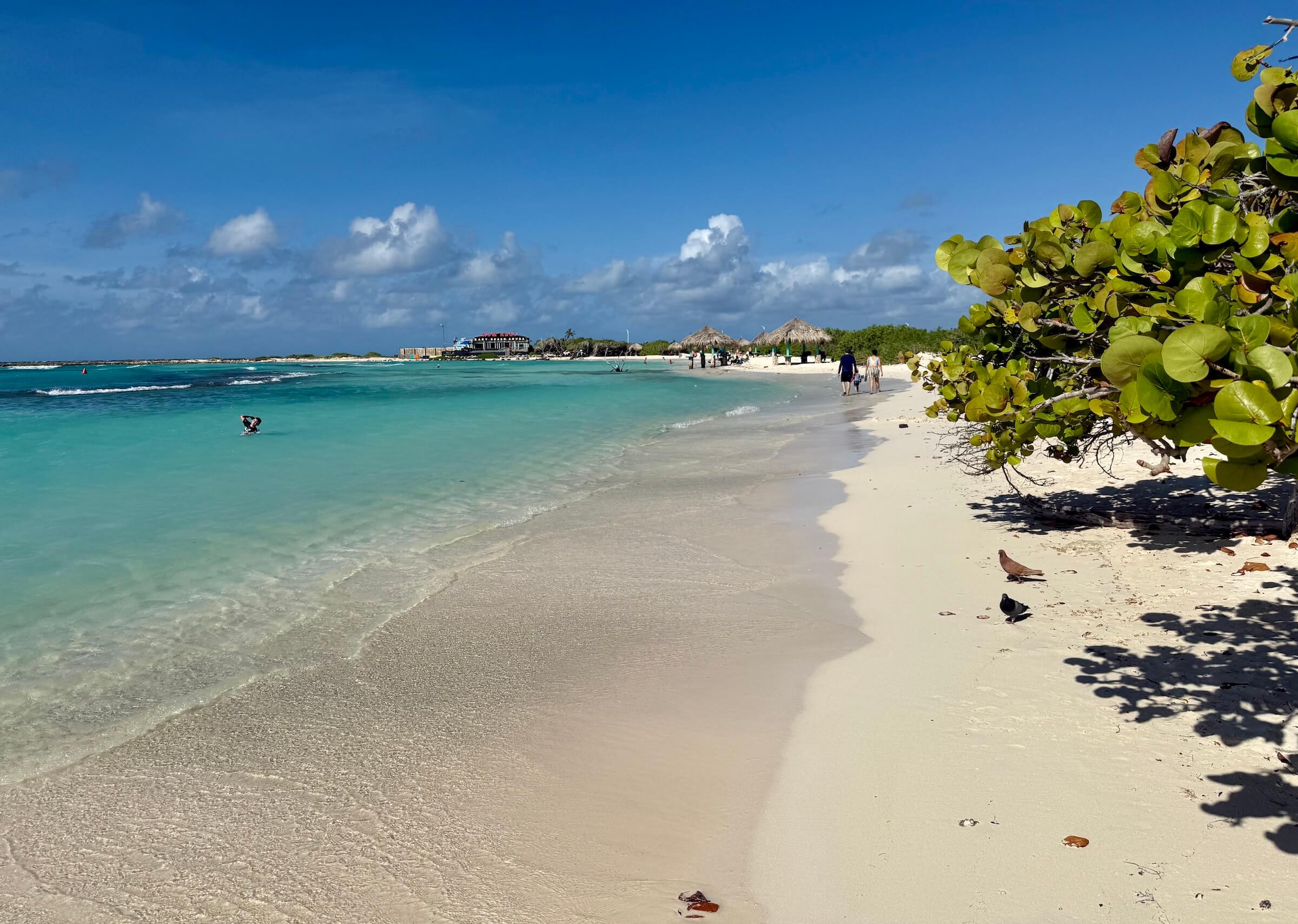 O que fazer em Aruba