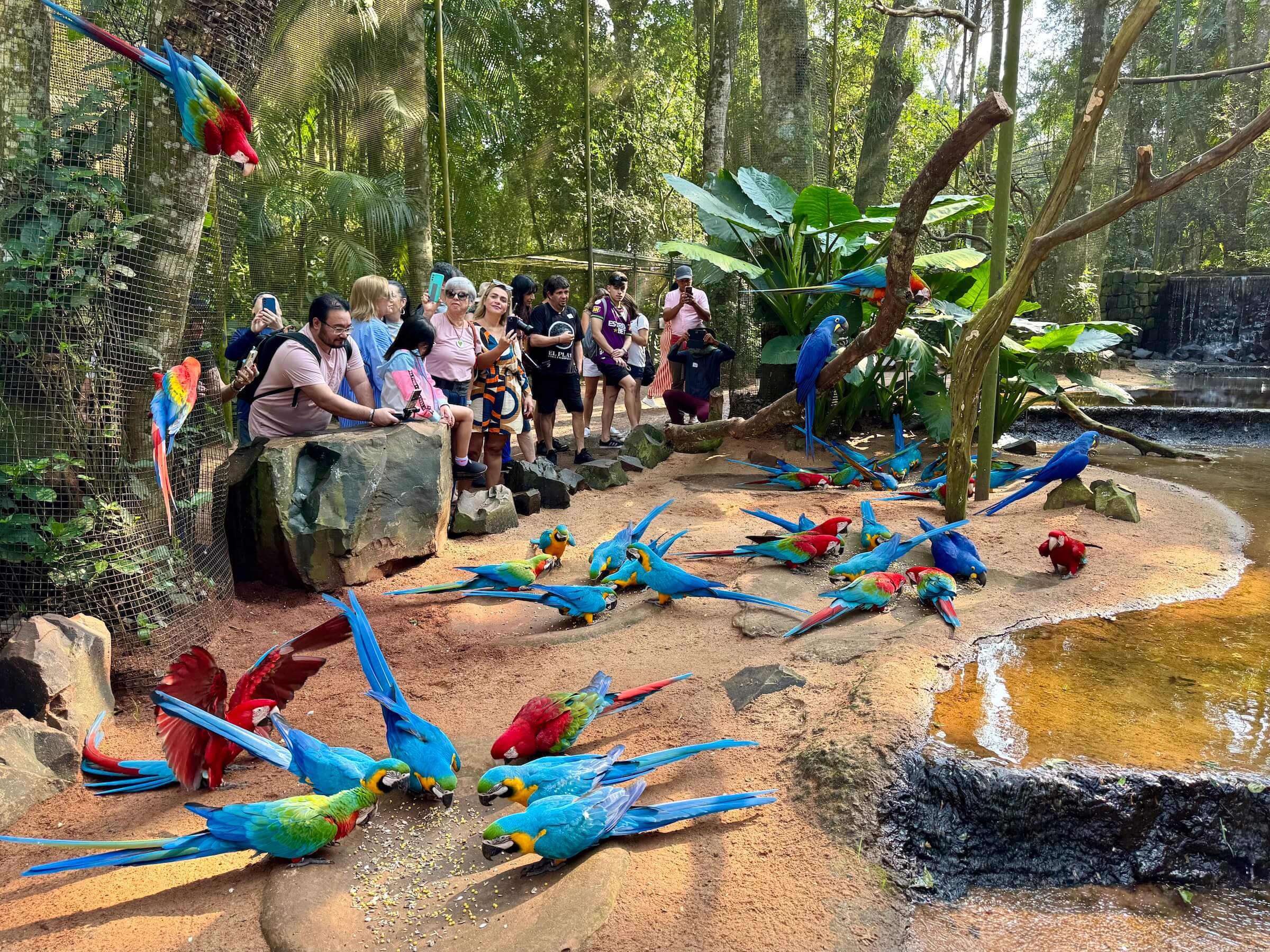Parque das Aves