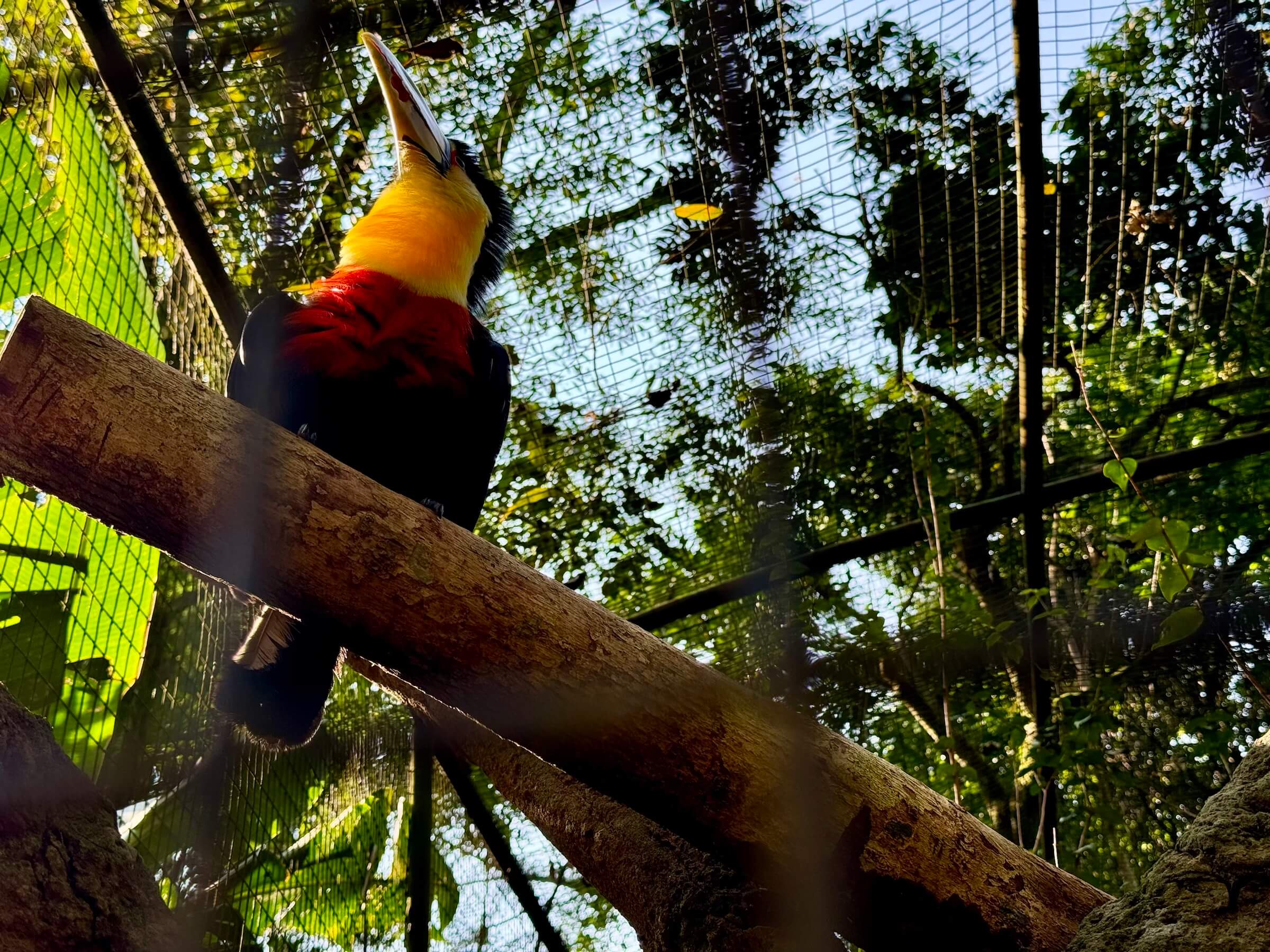 O que fazer em Foz do Iguaçu