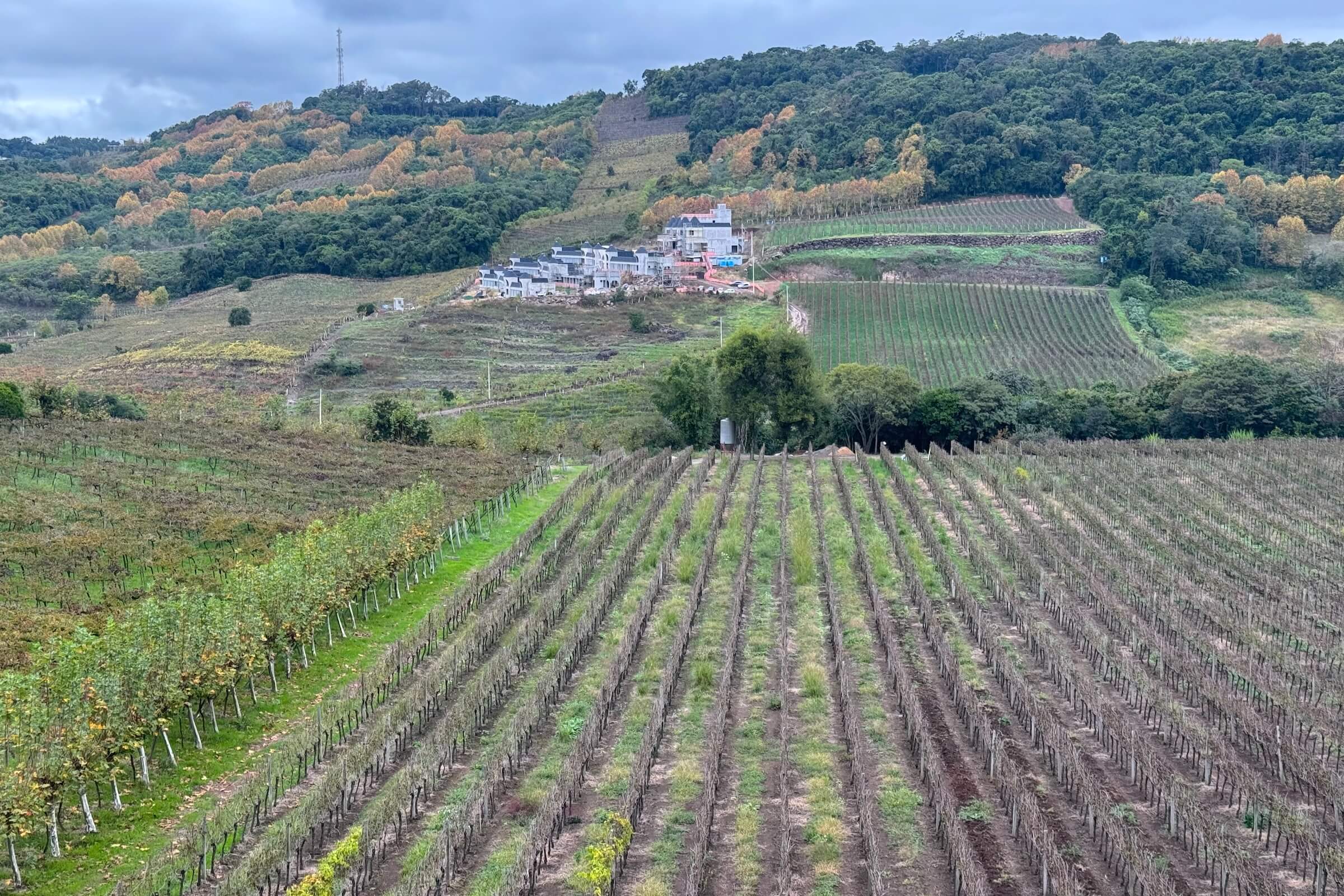 Vinícola Casa Valduga