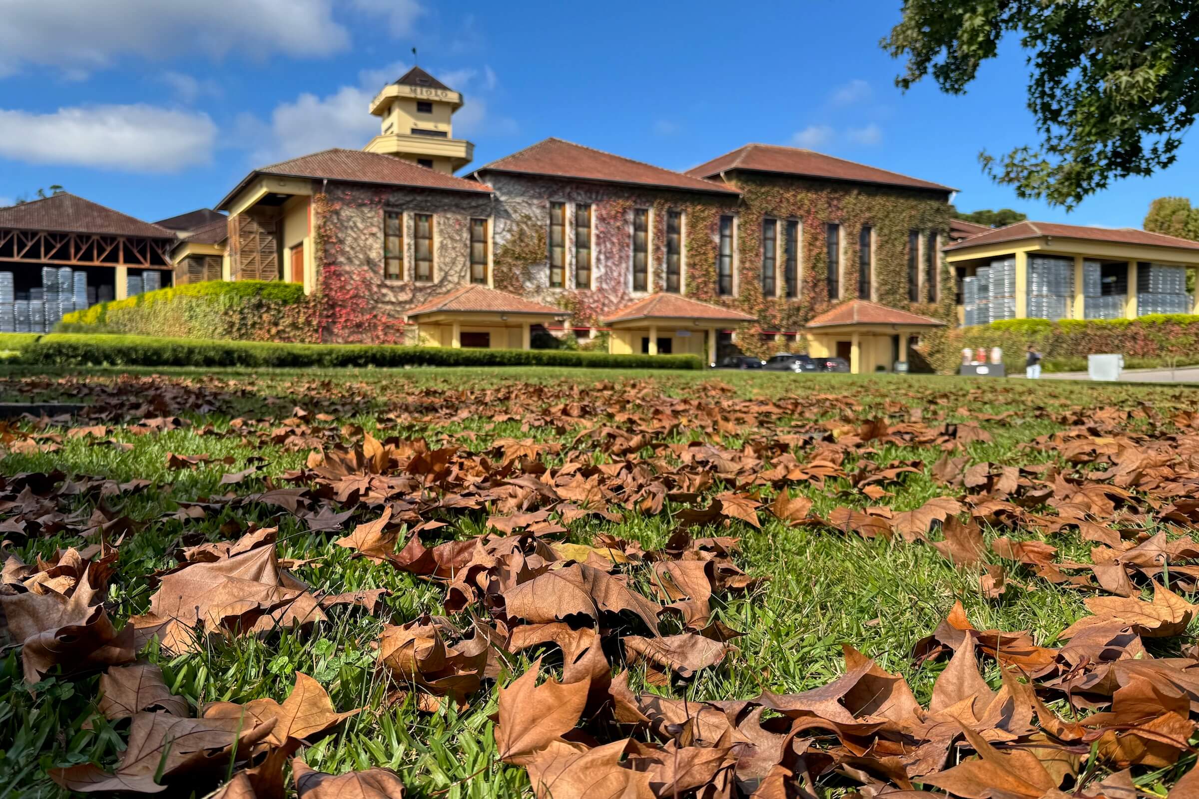 Vinícolas em Bento Gonçalves