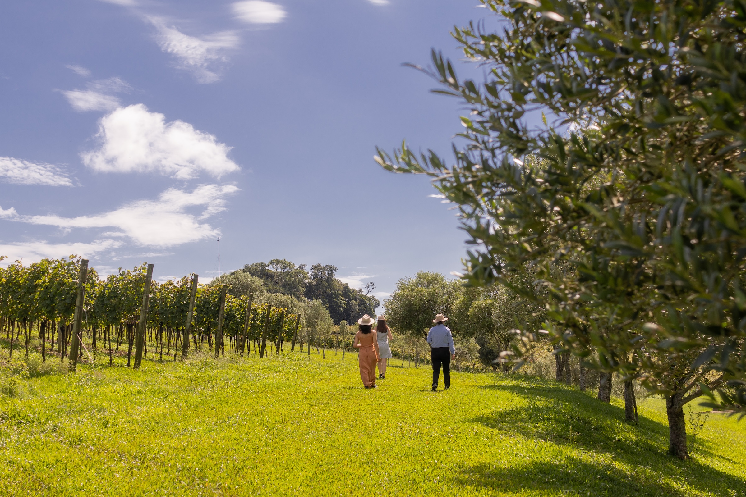 Vinícolas em Bento Gonçalves