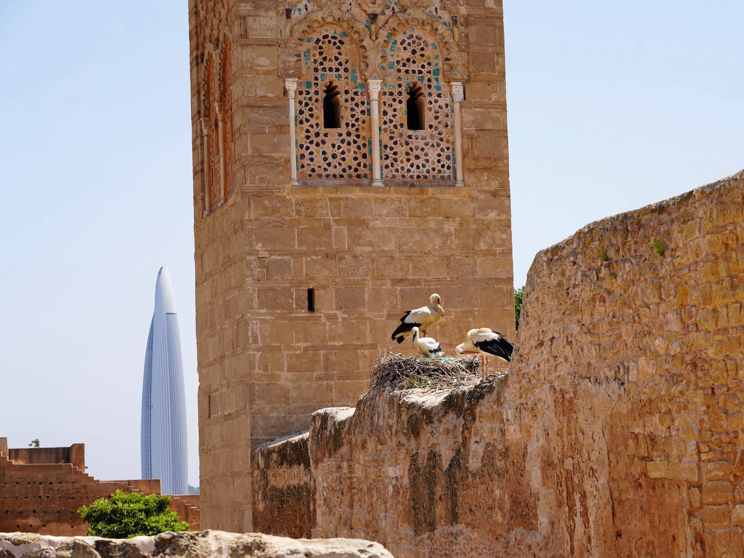Marrocos: uma viagem cheia de luxo por Casablanca, Rabat e Marrakech