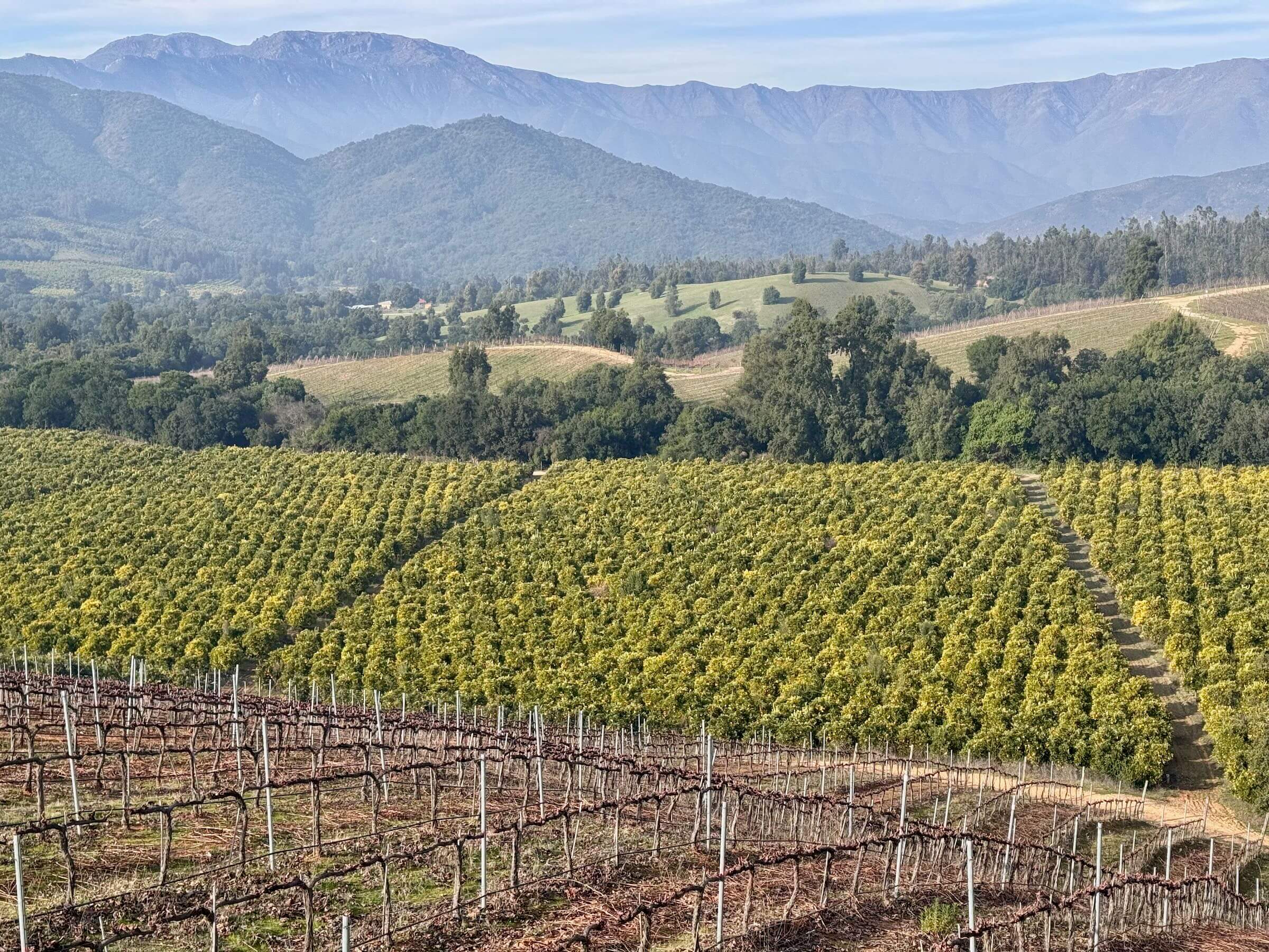 que-fazer-santiago-vinicolas