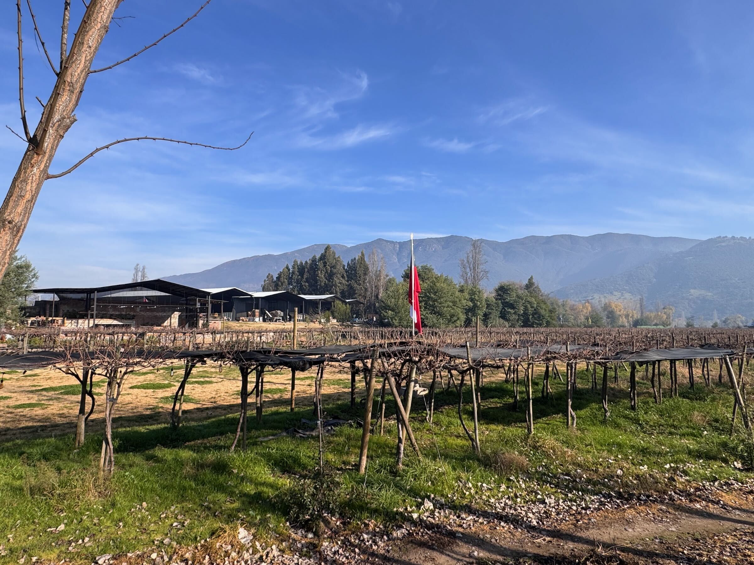 Vinícolas no Chile - um roteiro com 9 opções para amantes de vinhos!