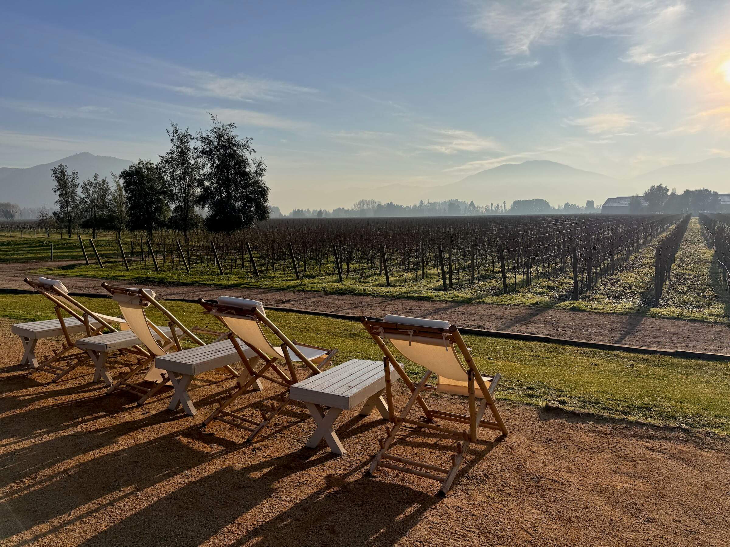 Vinícolas no Chile - um roteiro com 9 opções para amantes de vinhos!
