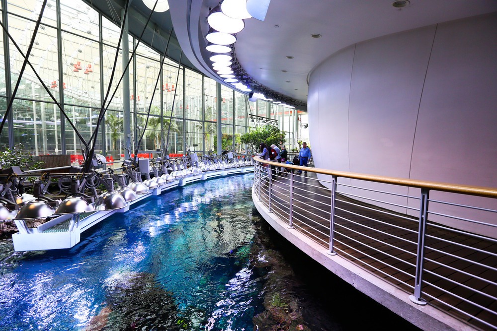 California Academy of Sciences