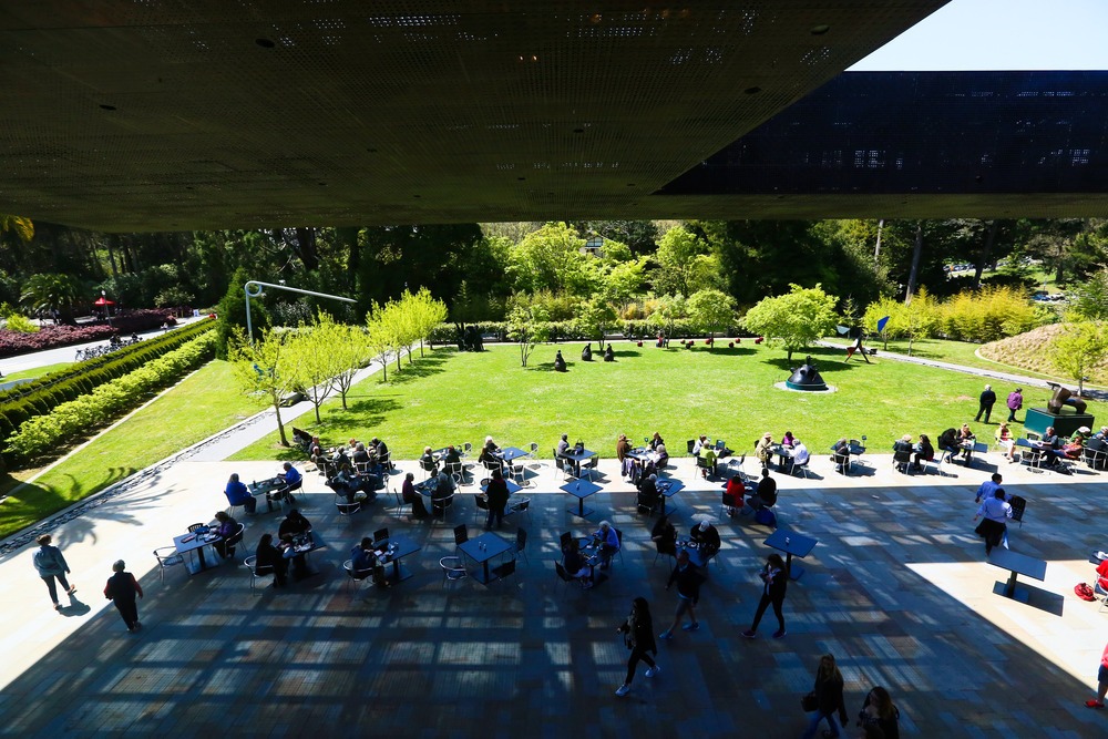 de Young Museum