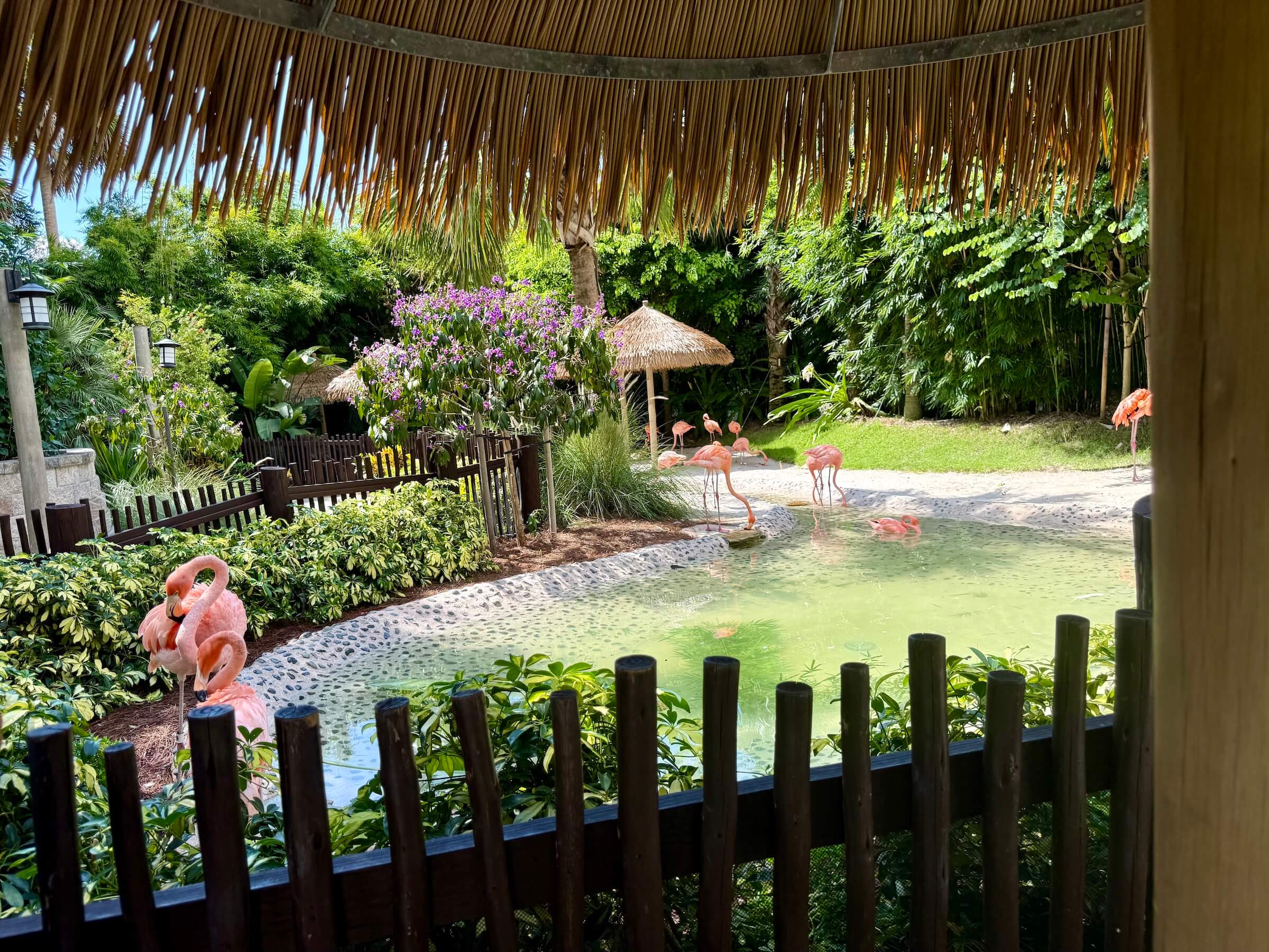 Discovery Cove