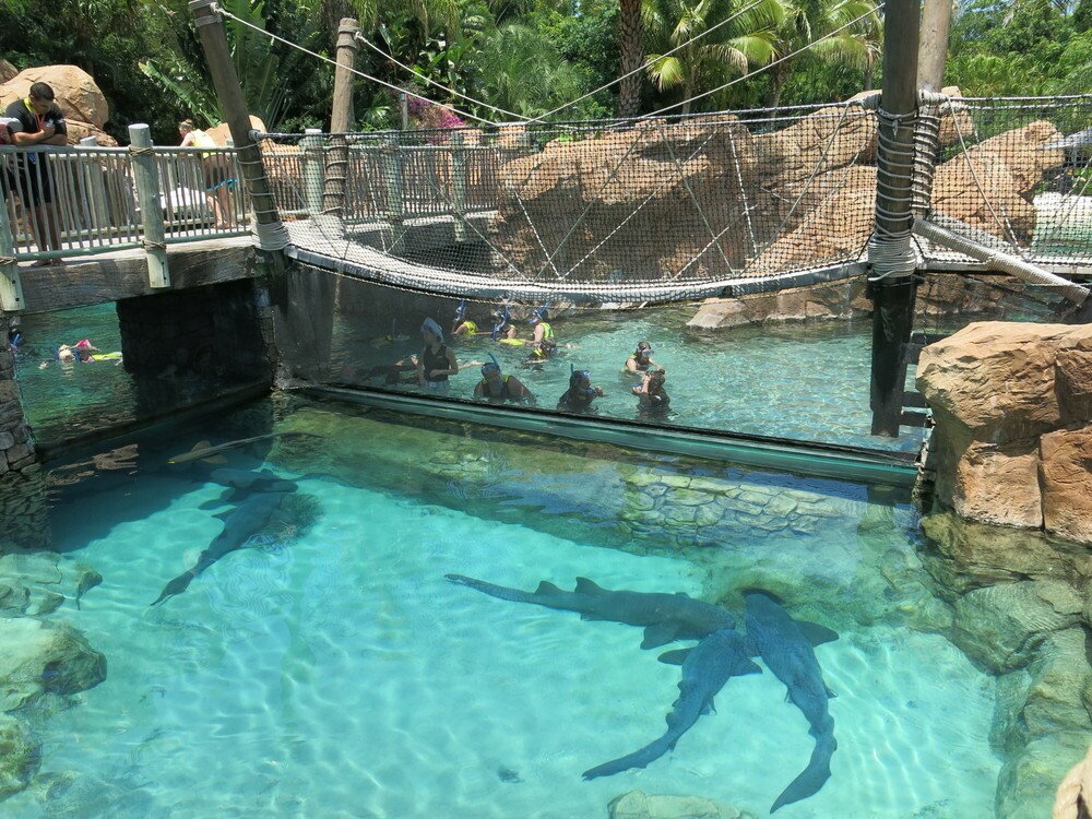 Discovery Cove