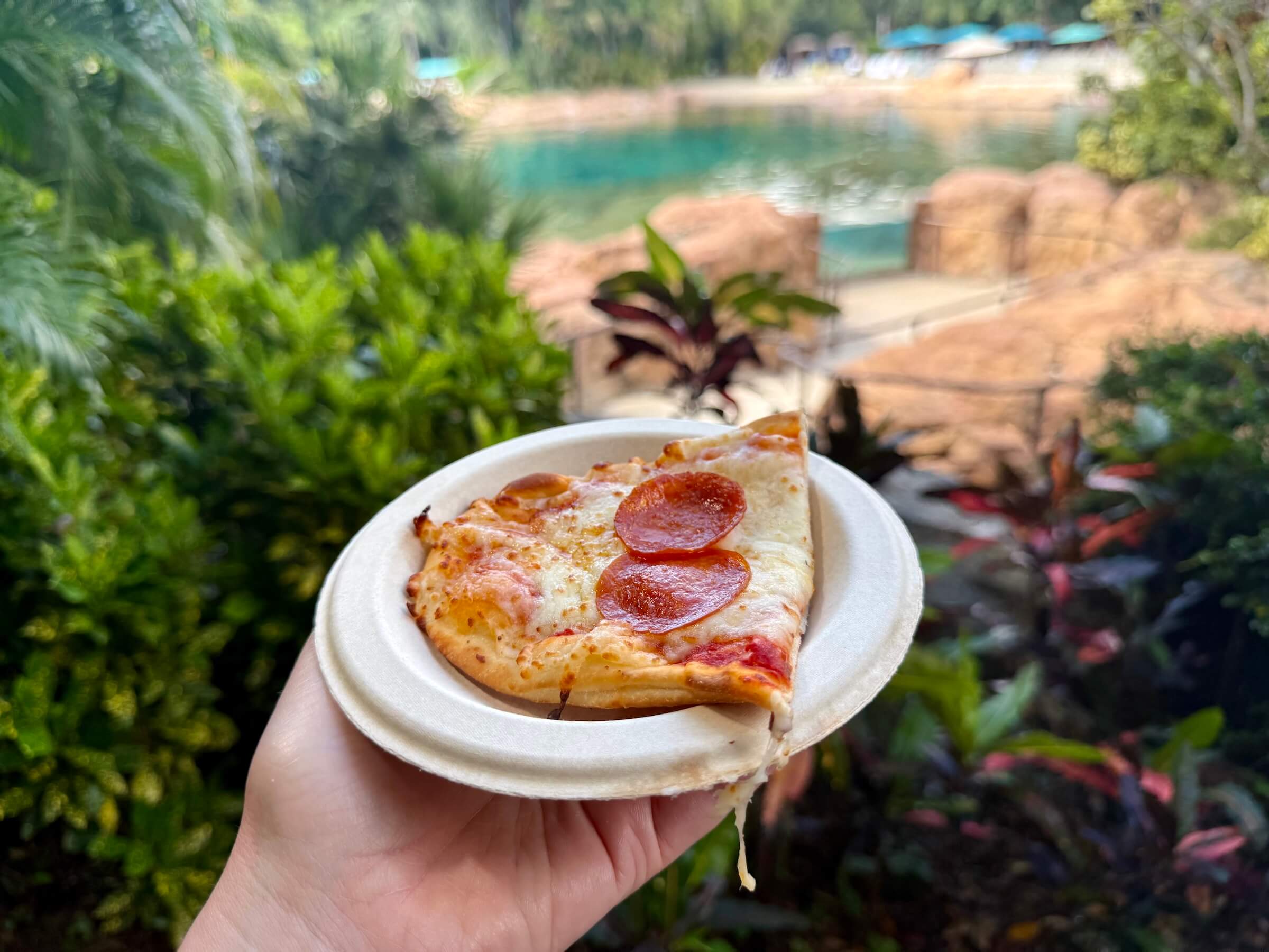 Discovery Cove